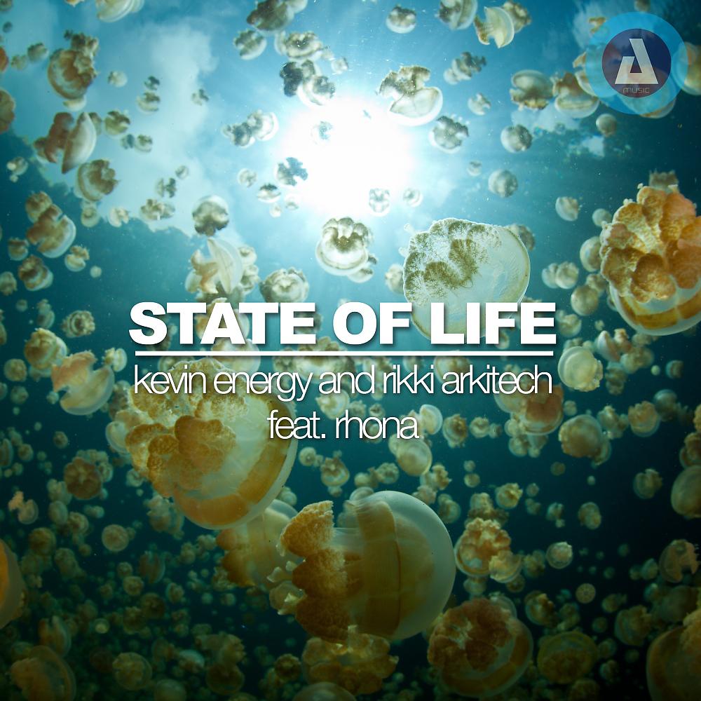 Постер альбома State Of Life