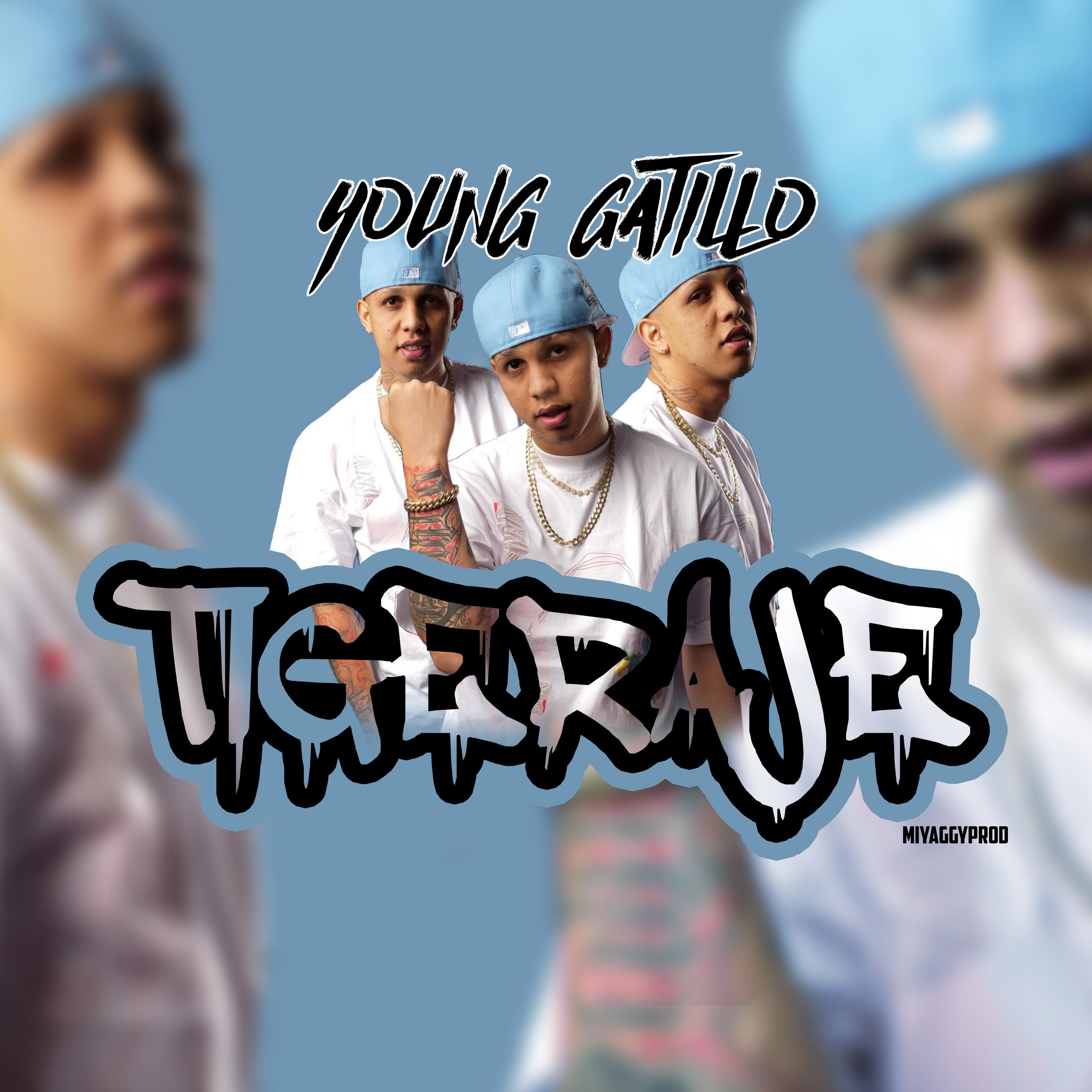 Постер альбома Tigeraje