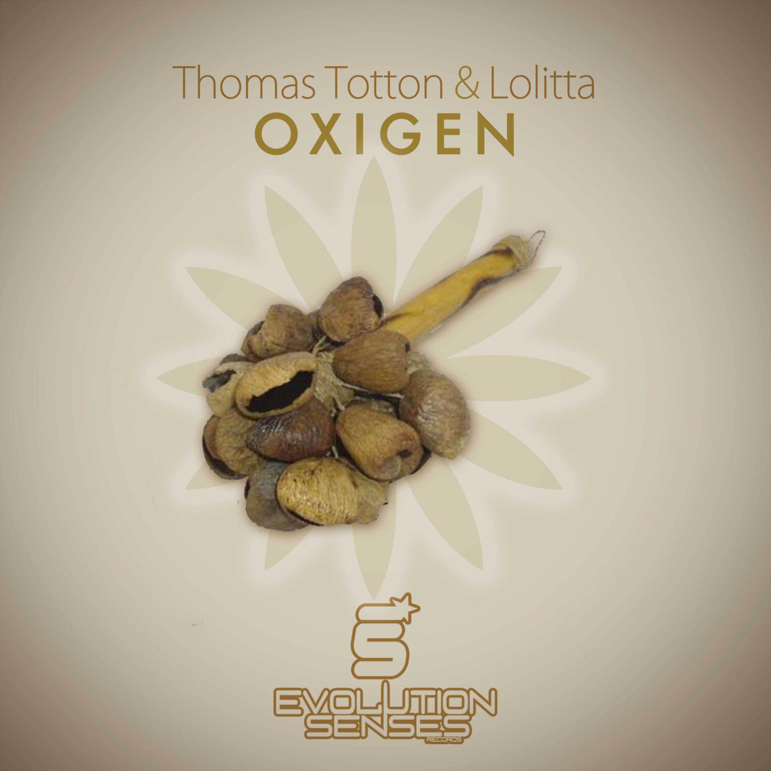 Постер альбома Oxigen - Single