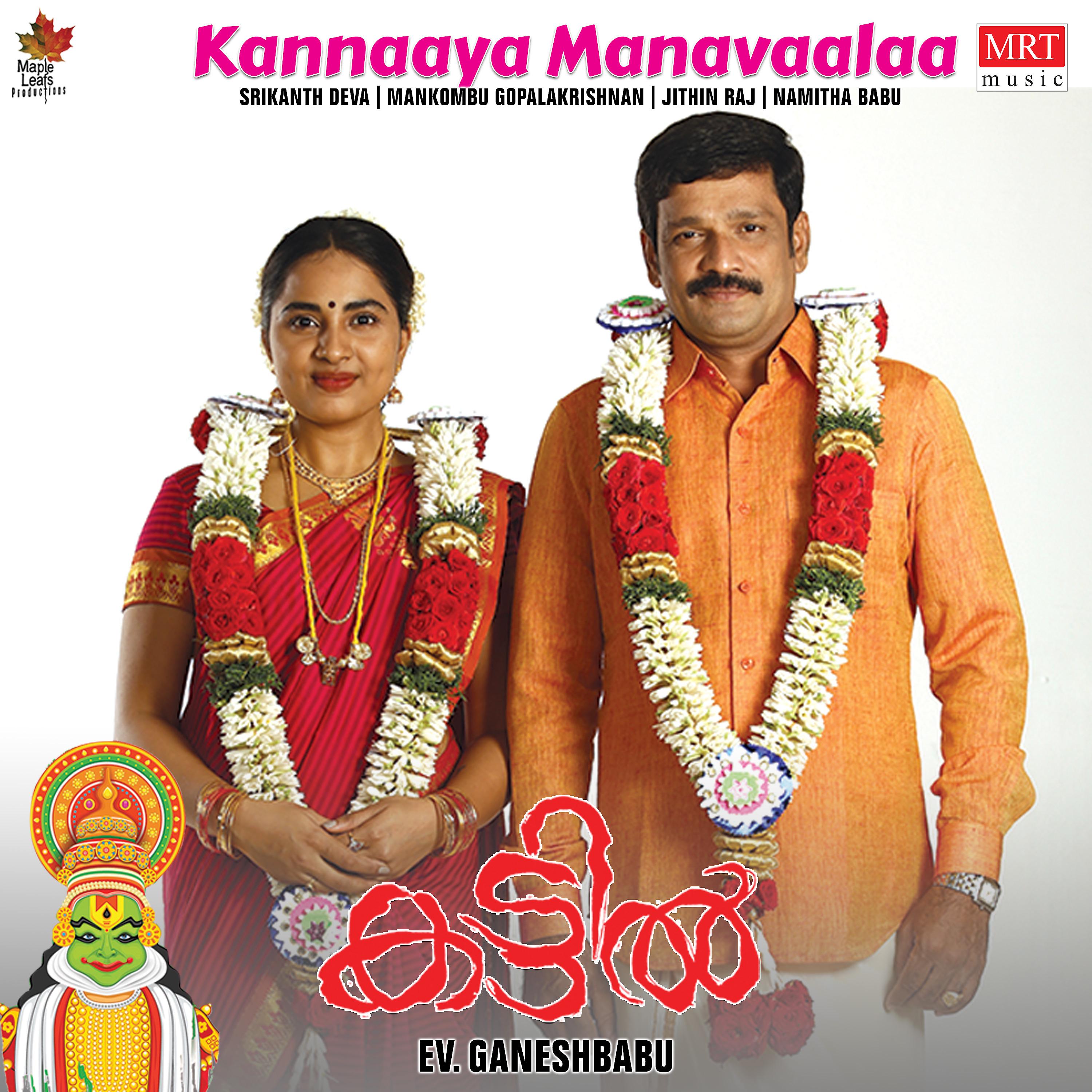 Постер альбома Kannaaya Manavaalaa
