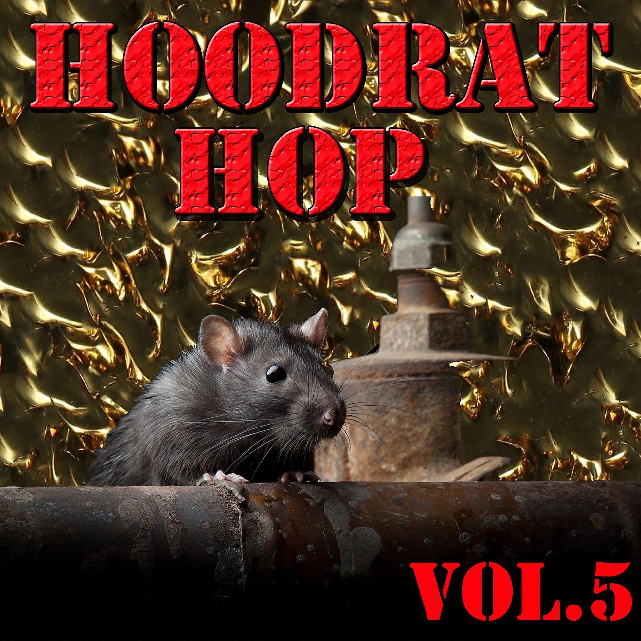 Постер альбома Hoodrat Hop, Vol.4