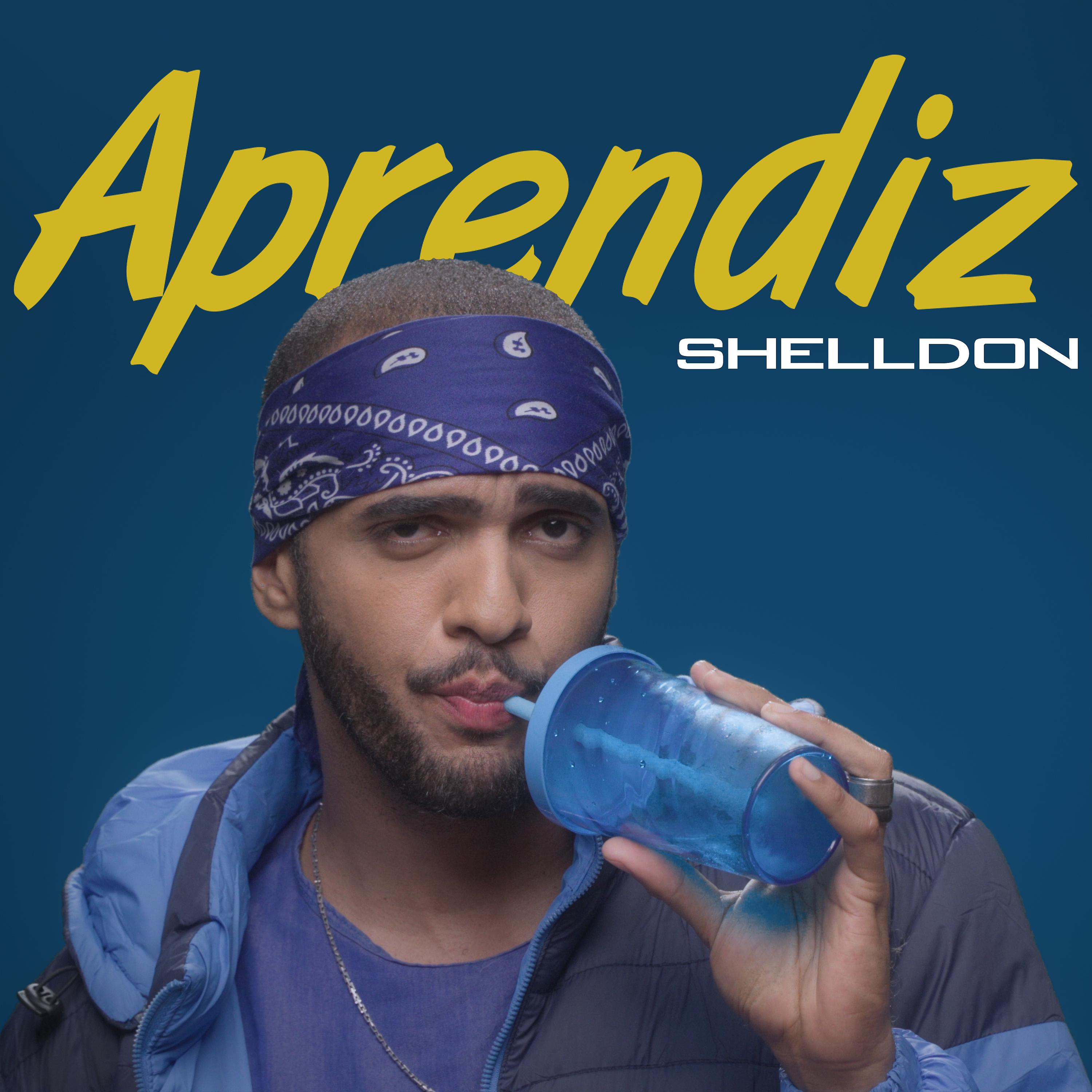 Постер альбома Aprendiz