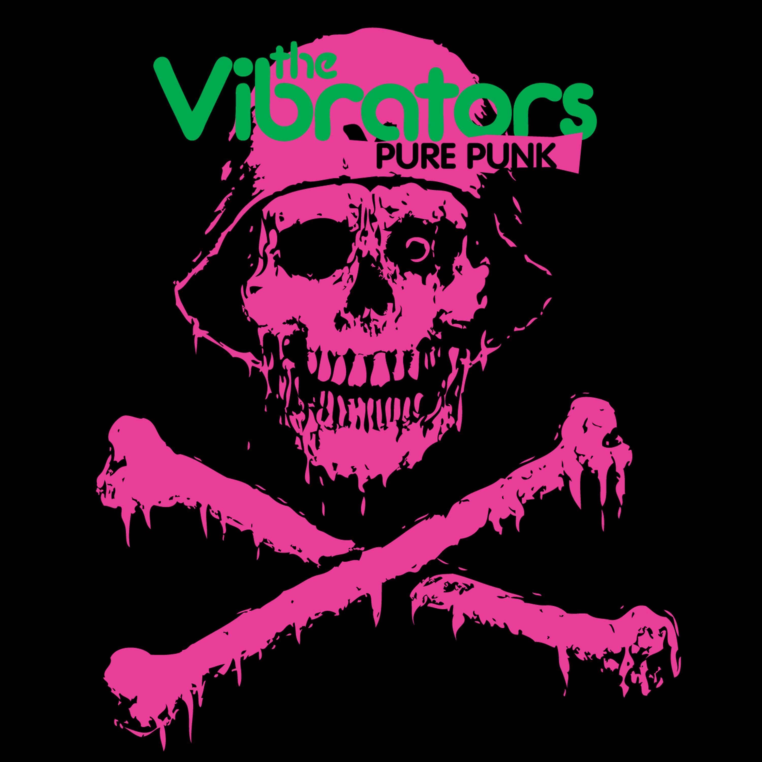 Постер альбома Pure Punk