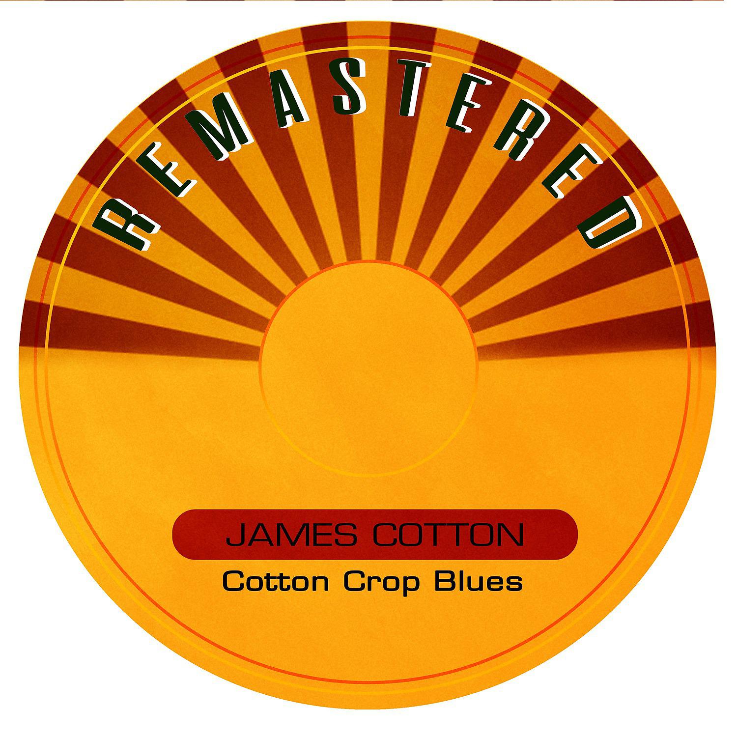 Постер альбома Cotton Crop Blues