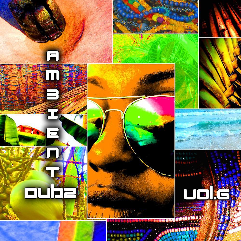 Постер альбома Ambient Dubz, Vol. 6