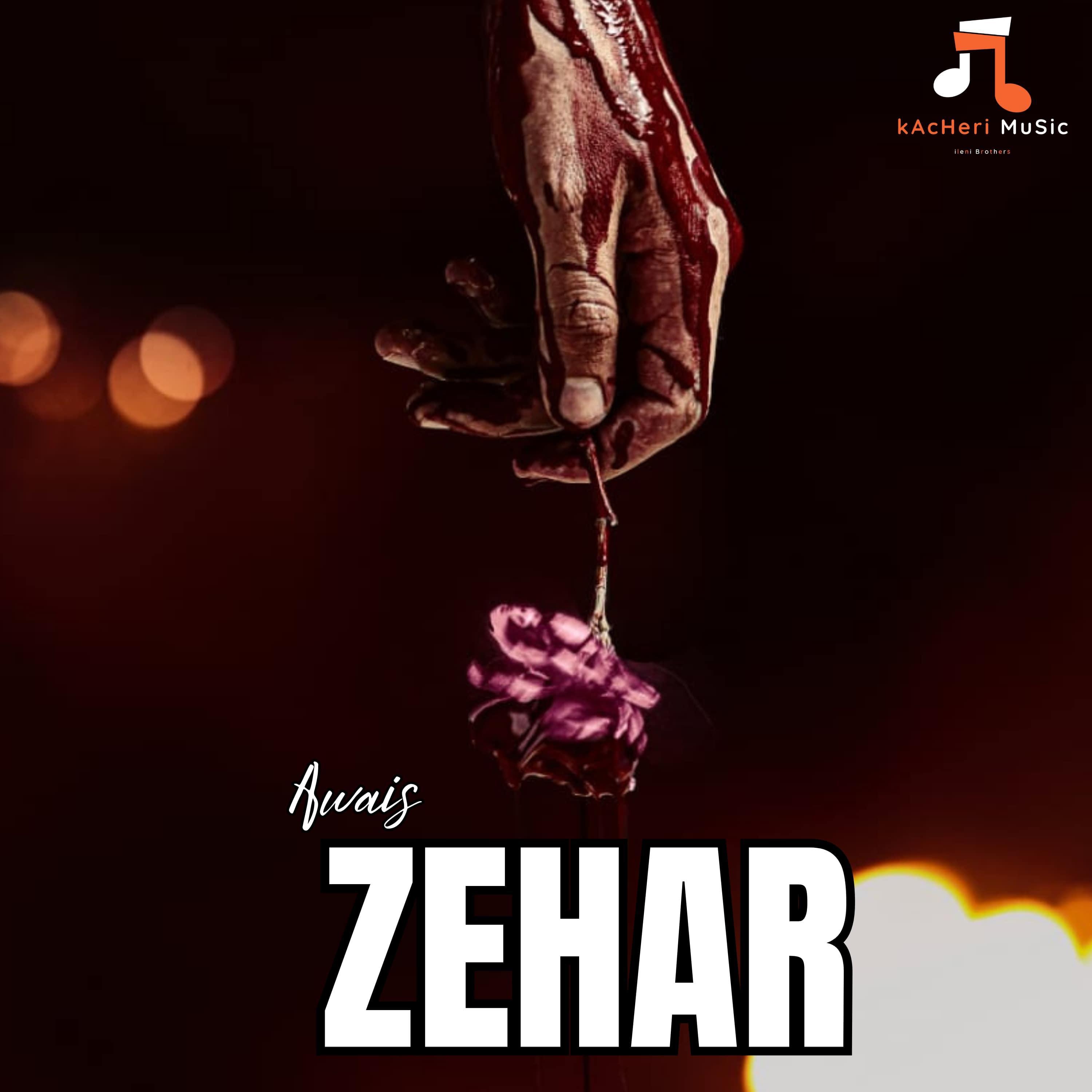 Постер альбома Zehar