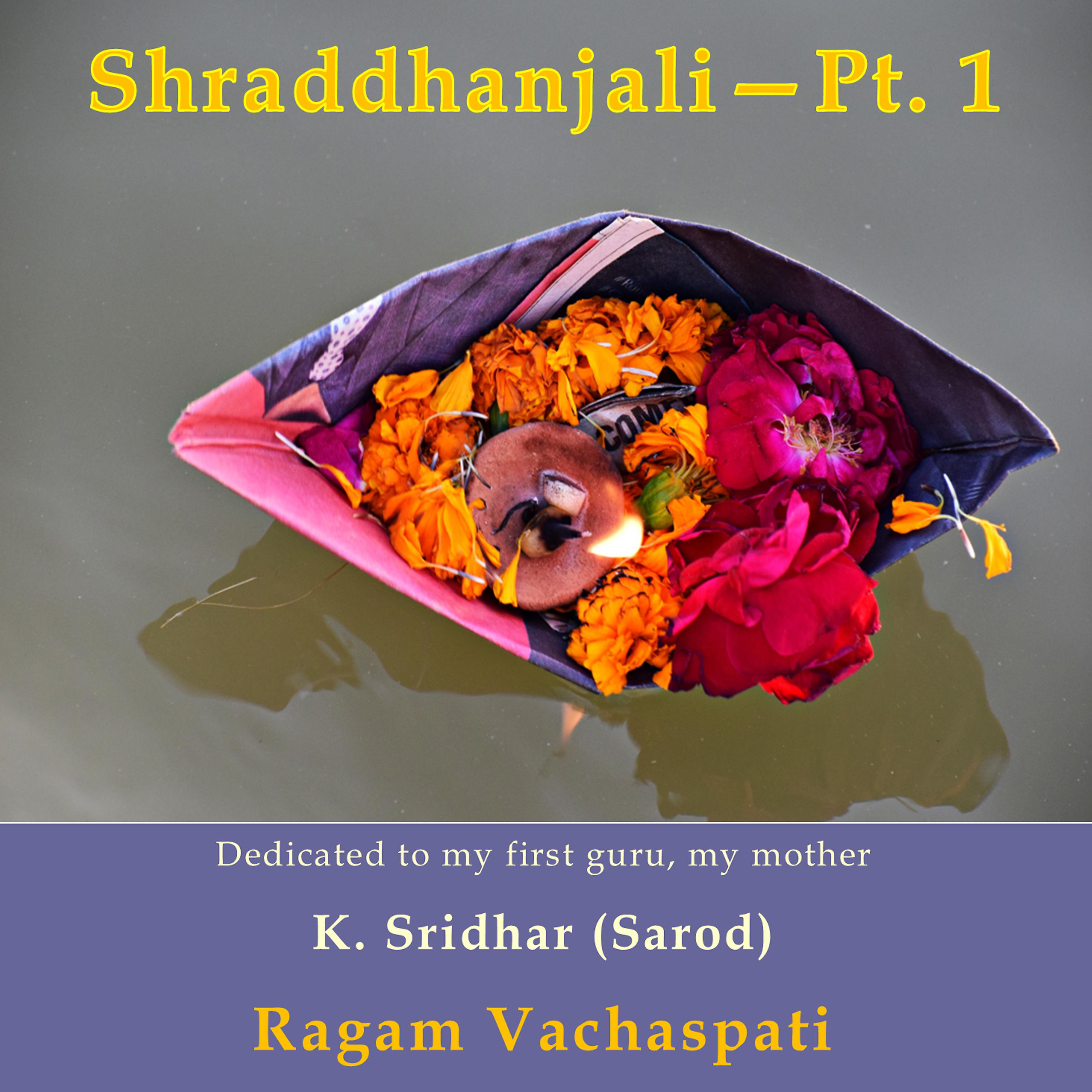 Постер альбома Shraddhanjali (Ragam Vachaspati), Pt. 1