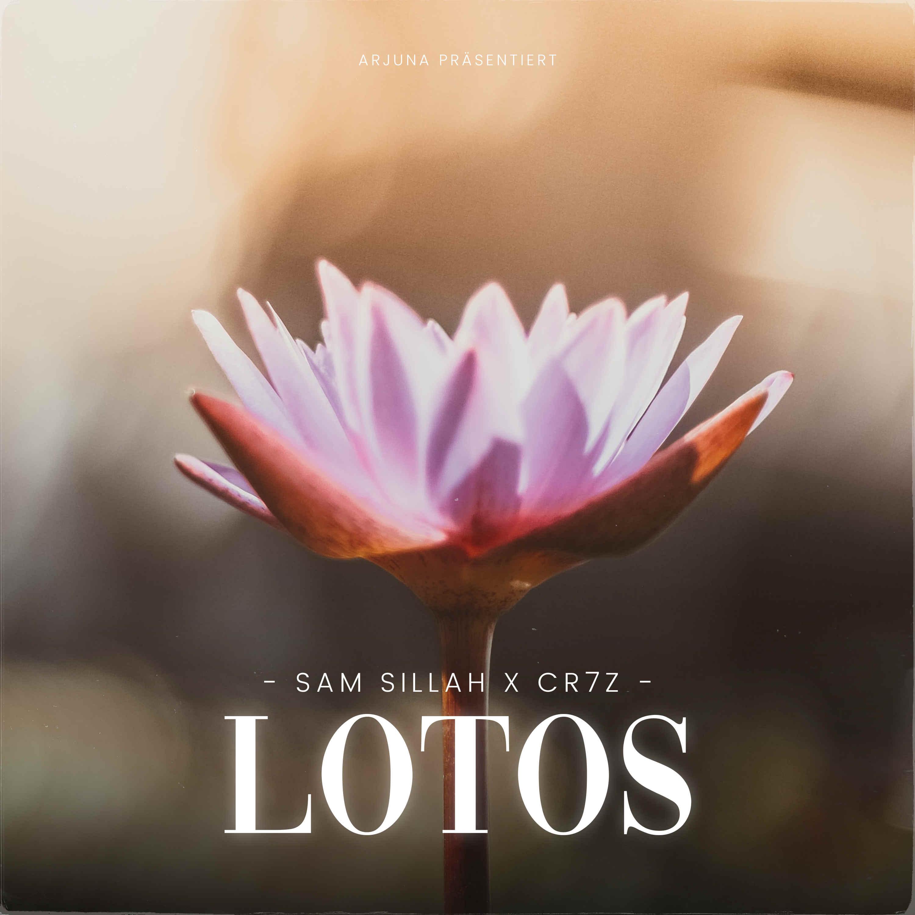 Постер альбома Lotos