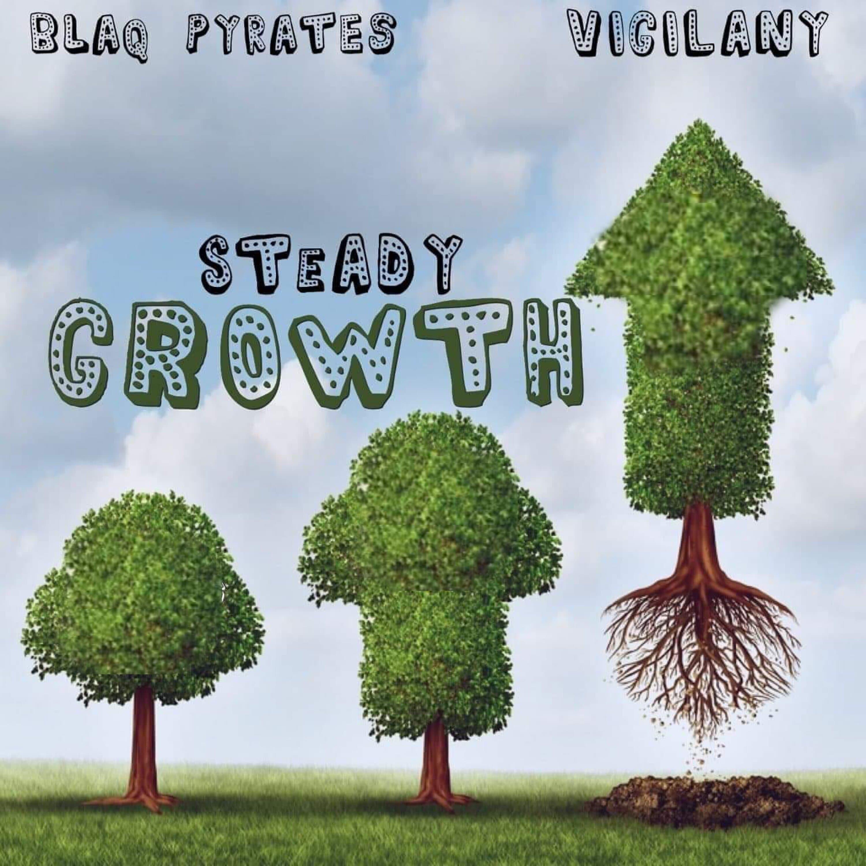 Постер альбома Steady Growth