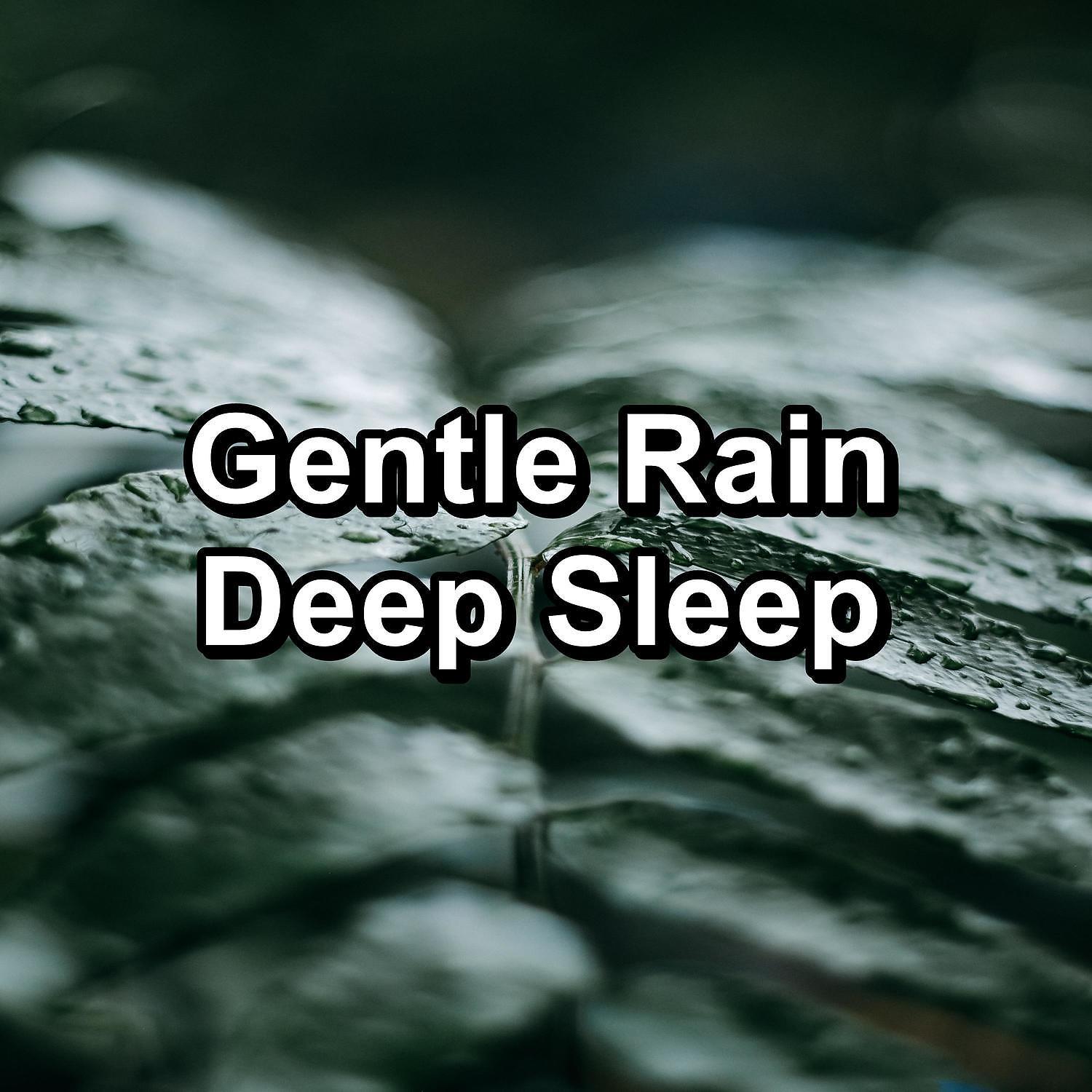 Постер альбома Gentle Rain Deep Sleep