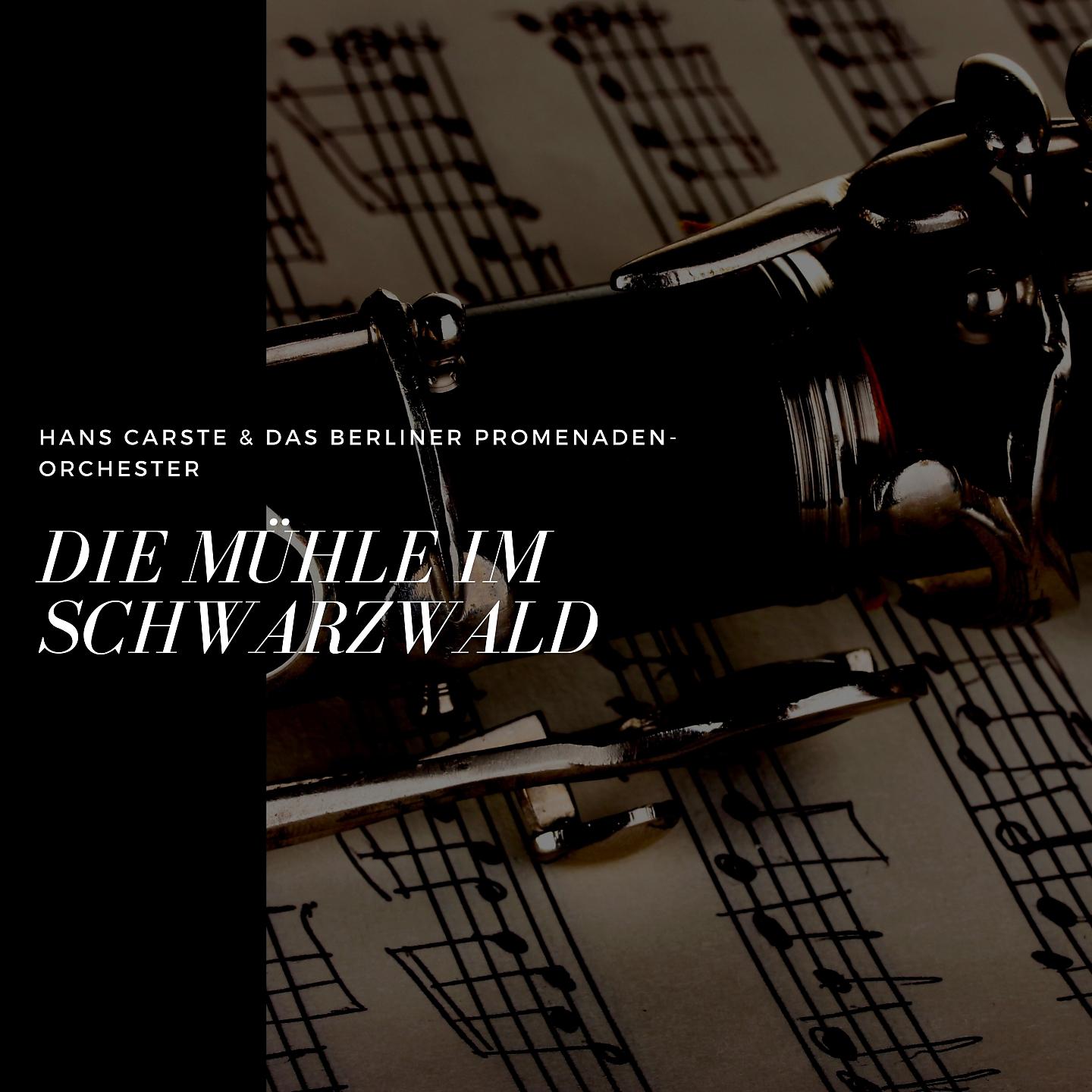 Постер альбома Die Mühle im Schwarzwald