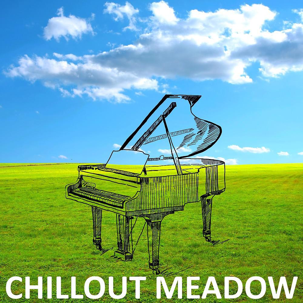 Постер альбома Chillout Meadow