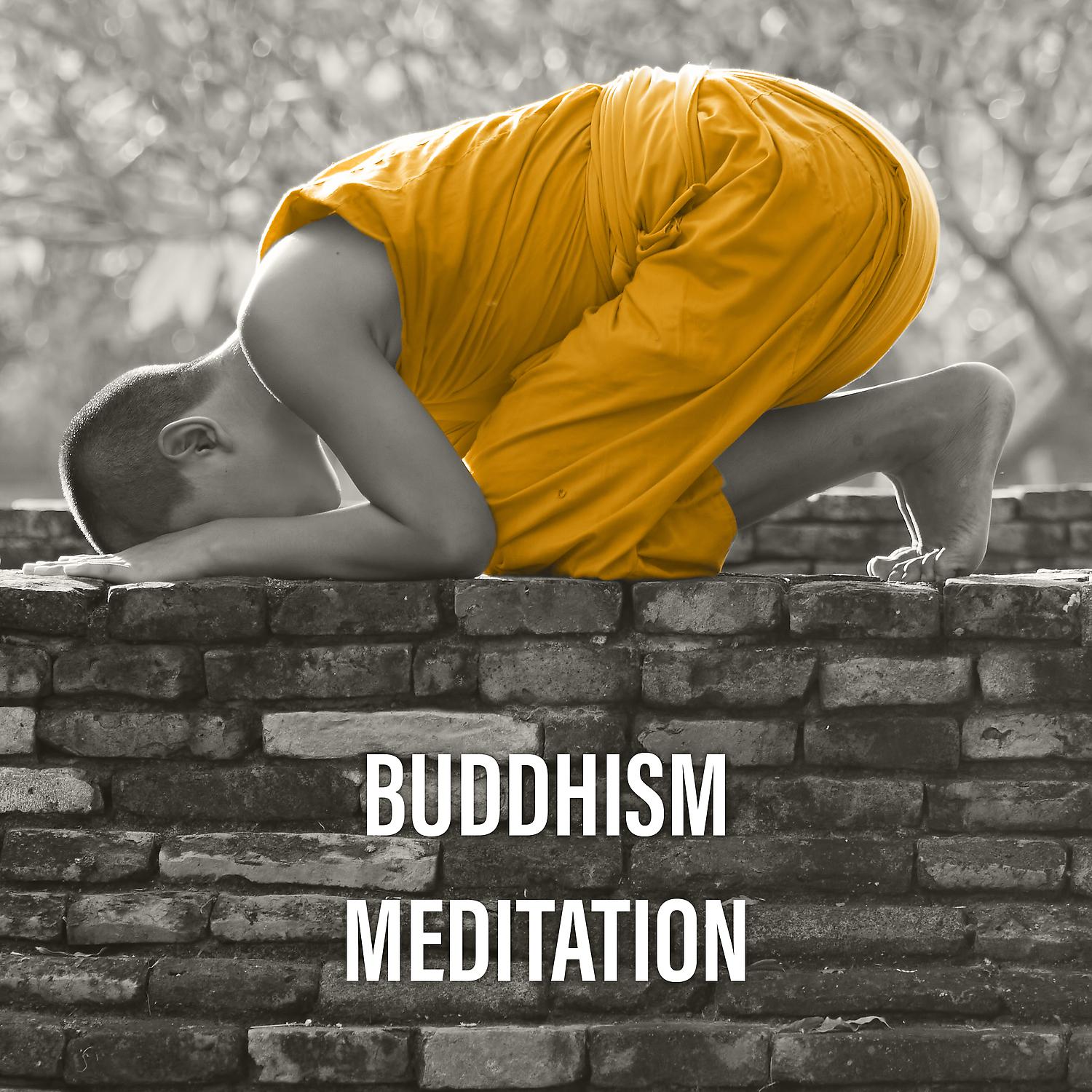 Постер альбома Buddhism Meditation – Meditation Music, Zen, Chakra, Yoga, Healing Sounds on Nature, Blissful