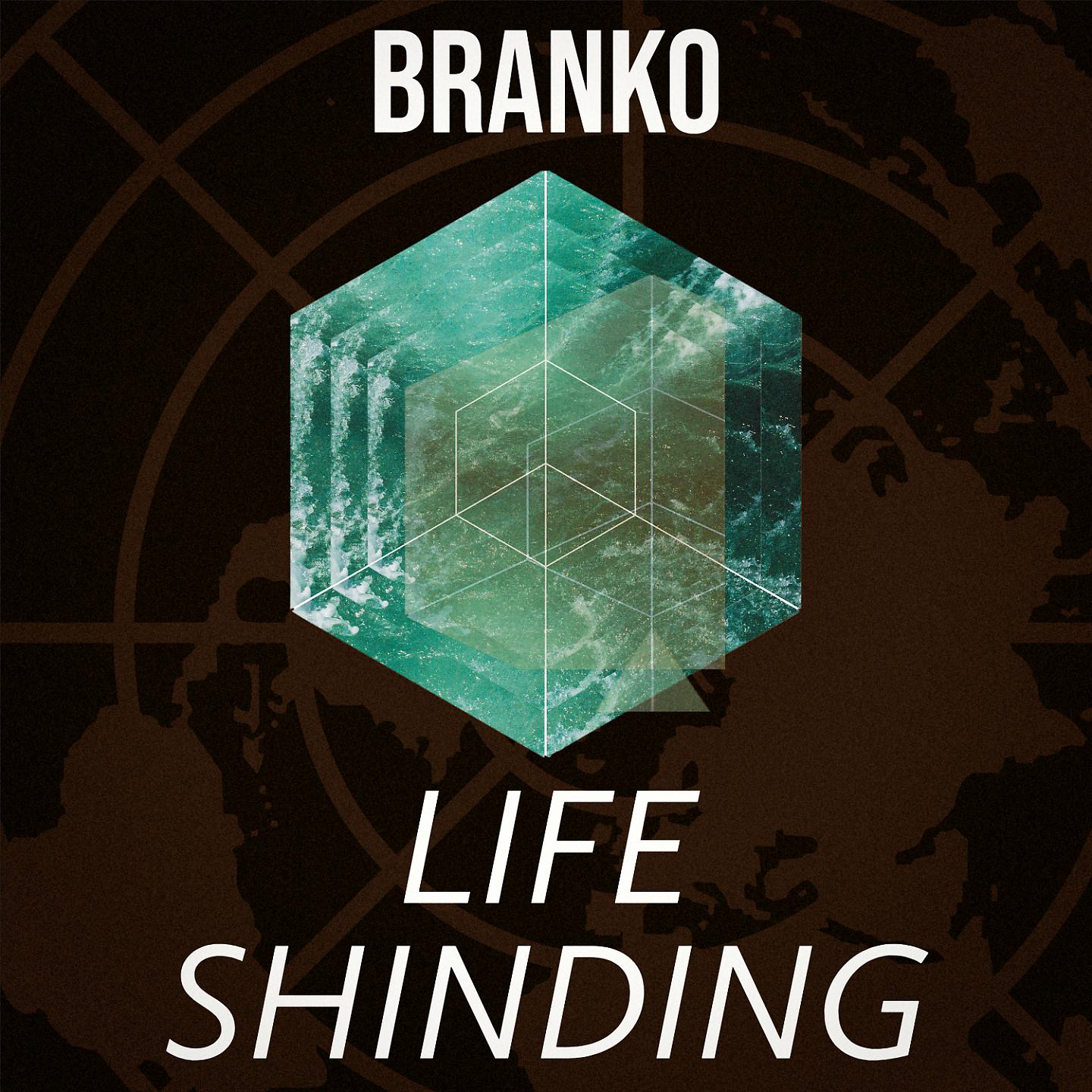 Постер альбома Life Shinding