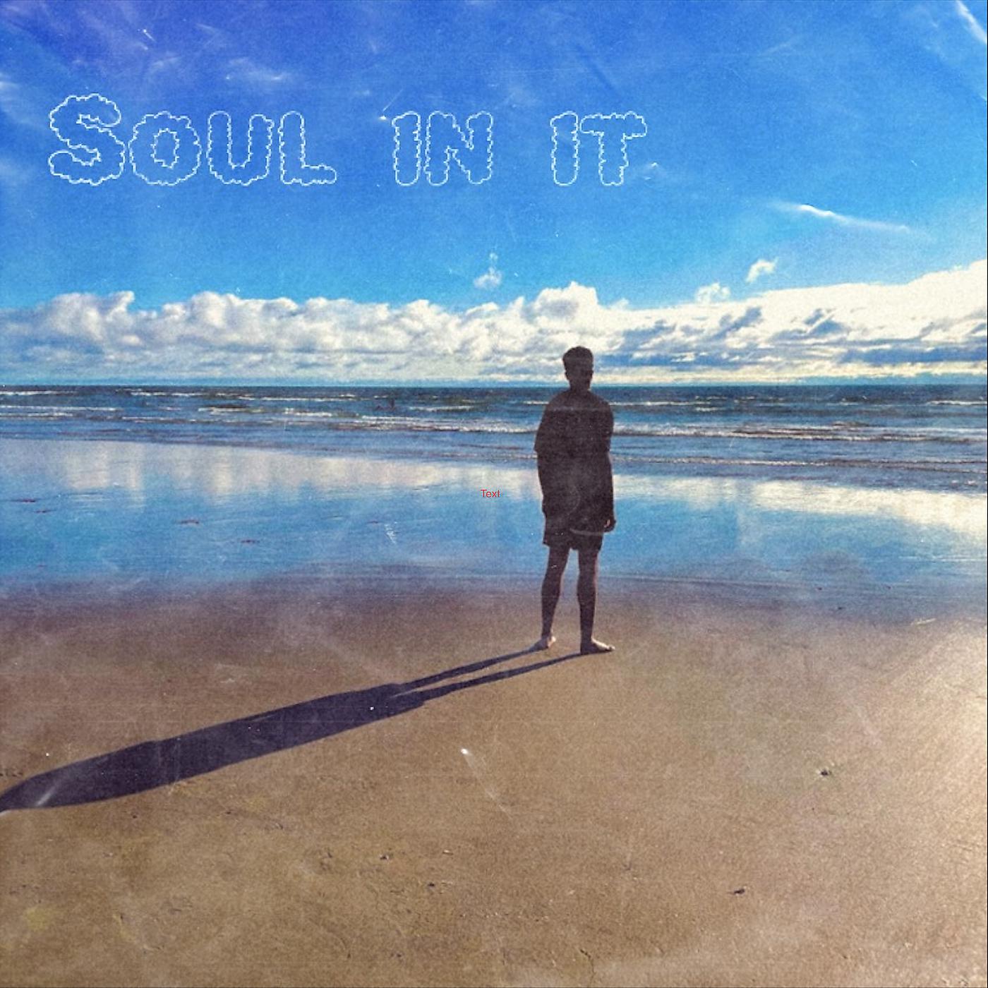 Постер альбома Soul in It