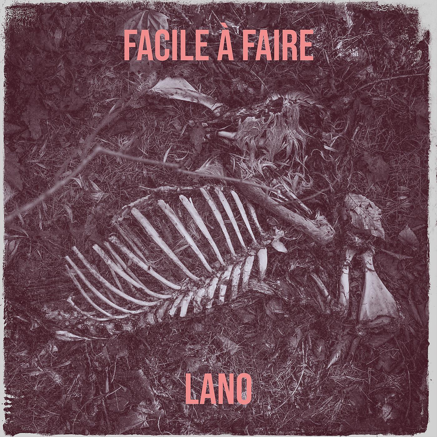 Постер альбома Facile à faire