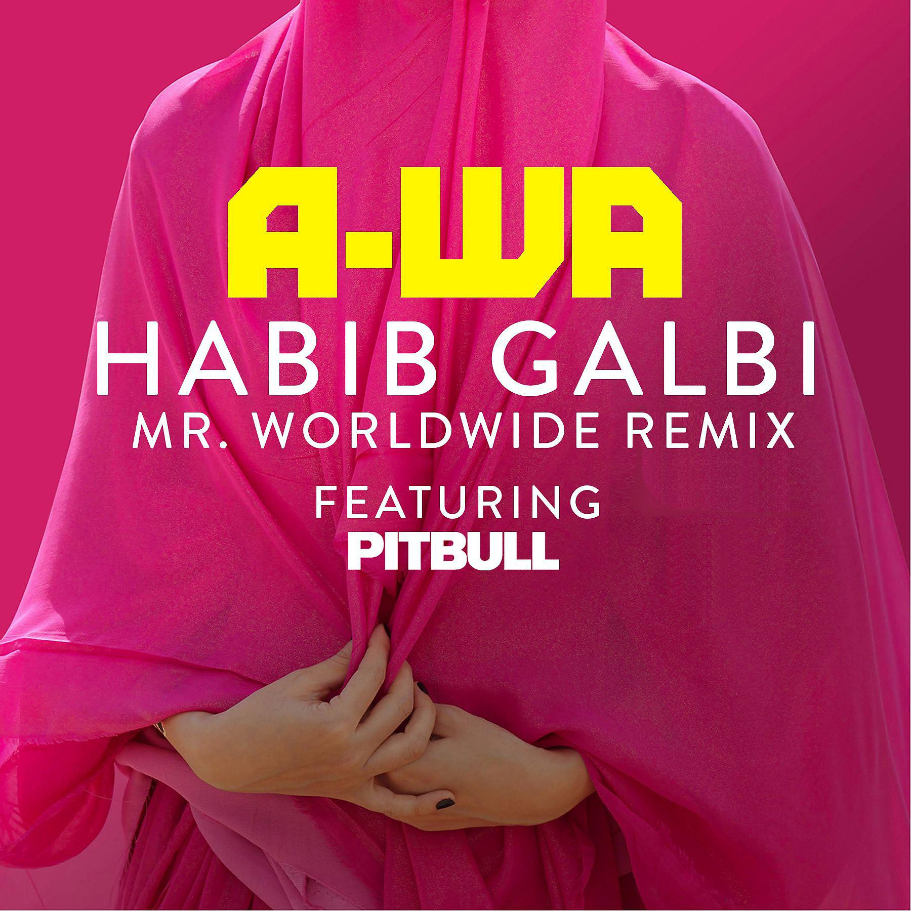 Постер альбома Habib Galbi (feat. Pitbull) [Mr. Worldwide Remix]