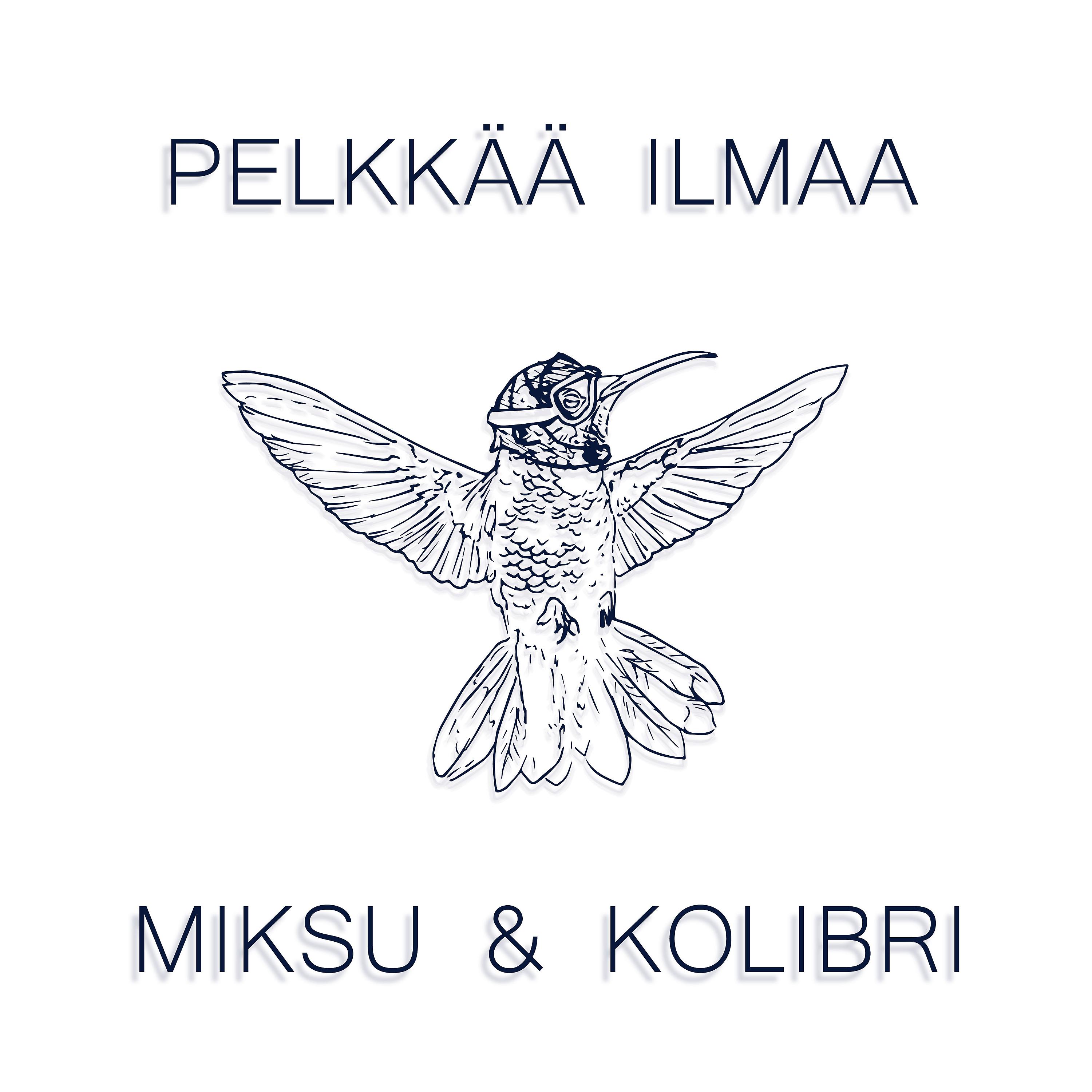 Постер альбома Pelkkää ilmaa