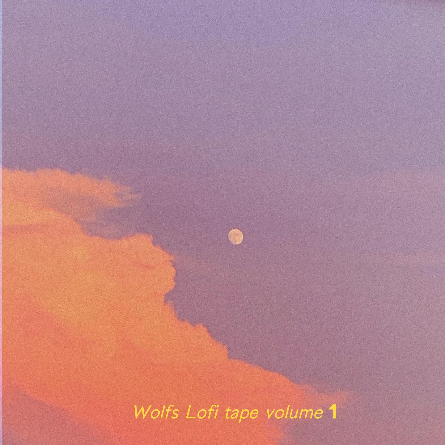 Постер альбома Wolfs Lofi Tape, Vol. 1