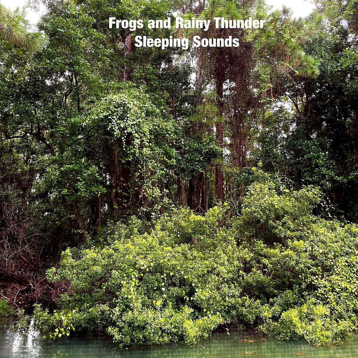 Постер альбома Frogs and Rainy Thunder