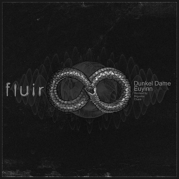 Постер альбома Fluir
