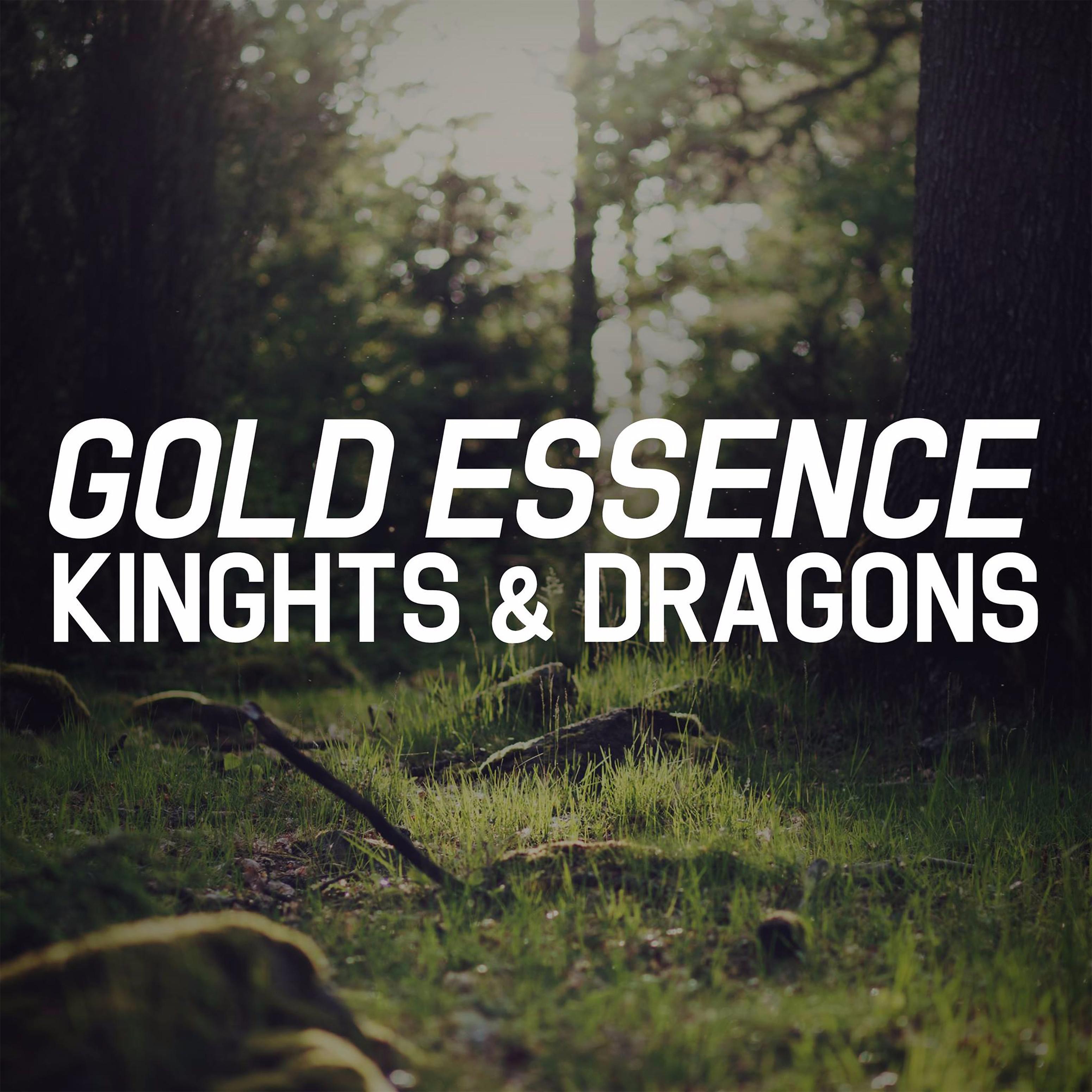 Постер альбома Knights and Dragons