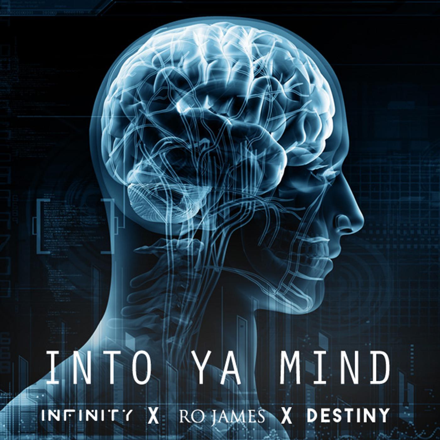 Постер альбома Into Ya Mind (feat. Ro James & Destiny)