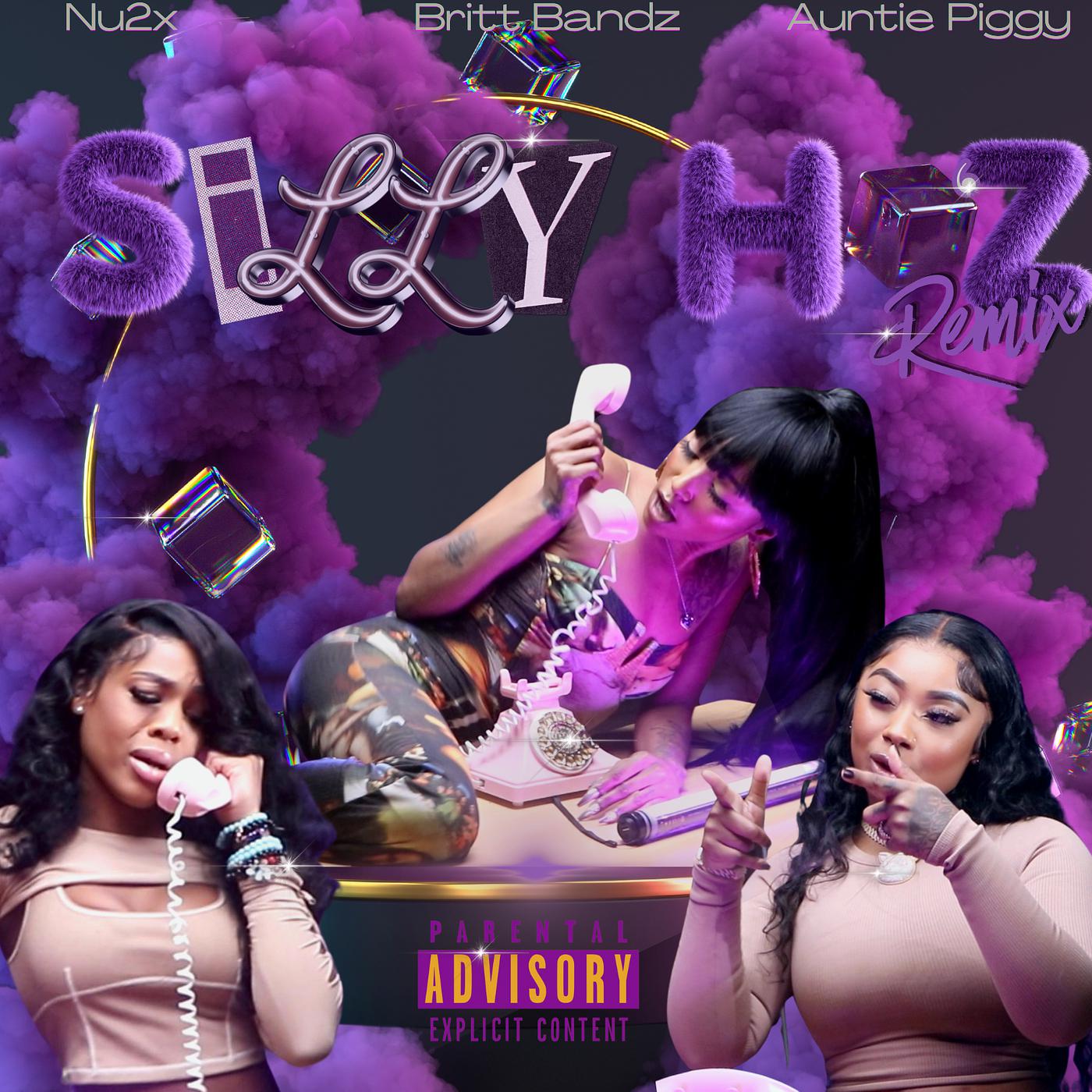 Постер альбома Silly Ho'z (Remix)