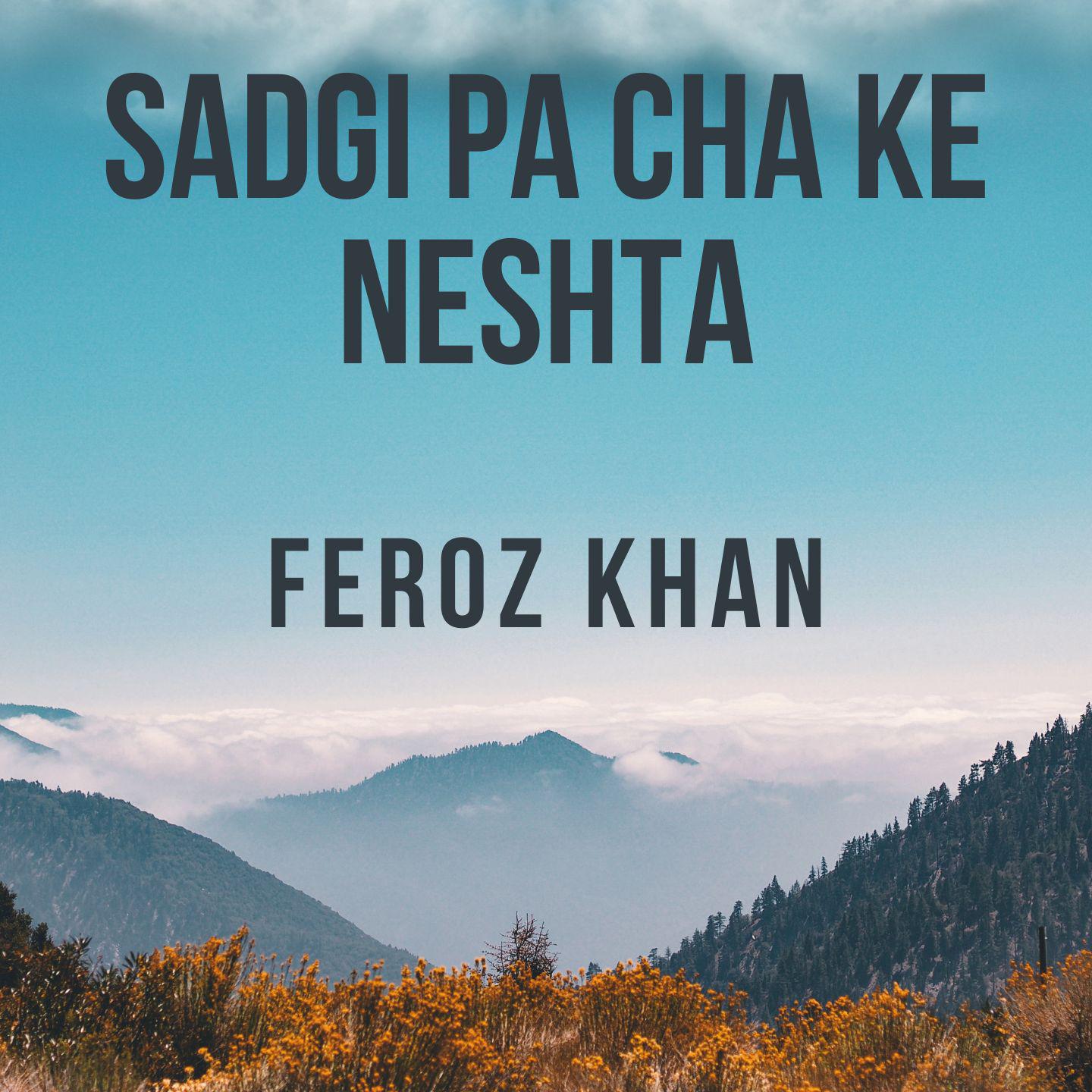 Постер альбома Sadgi Pa Cha Ke Neshta