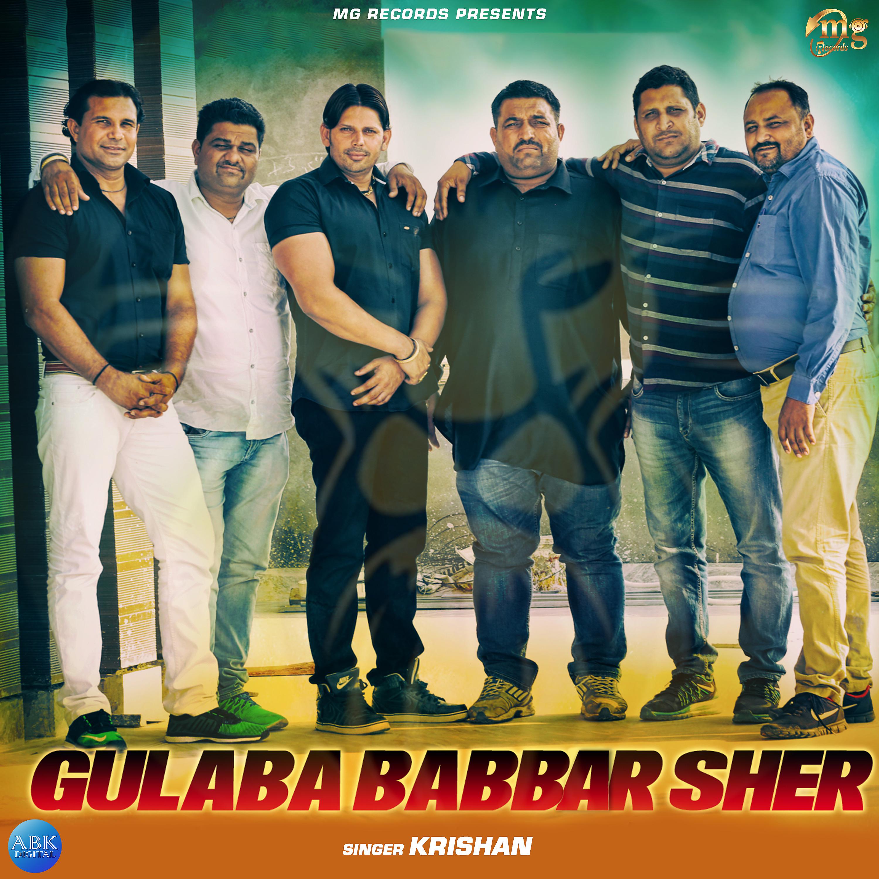 Постер альбома Gulaba Babbar Sher - Single