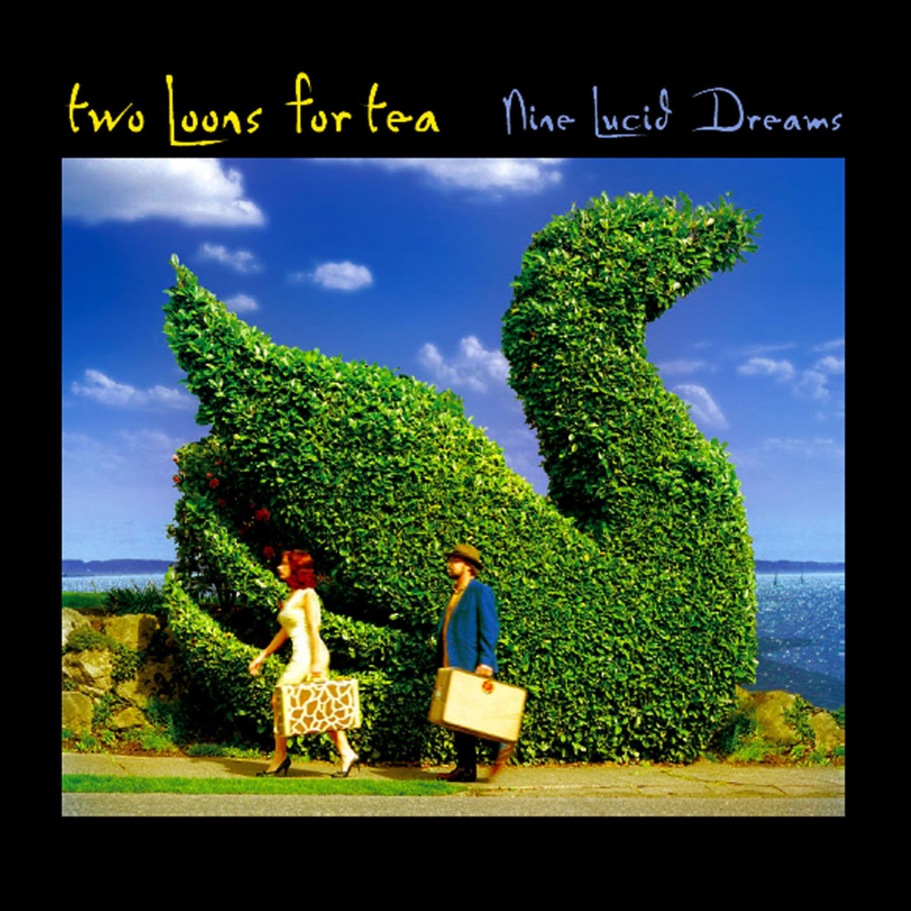 Постер альбома Nine Lucid Dreams