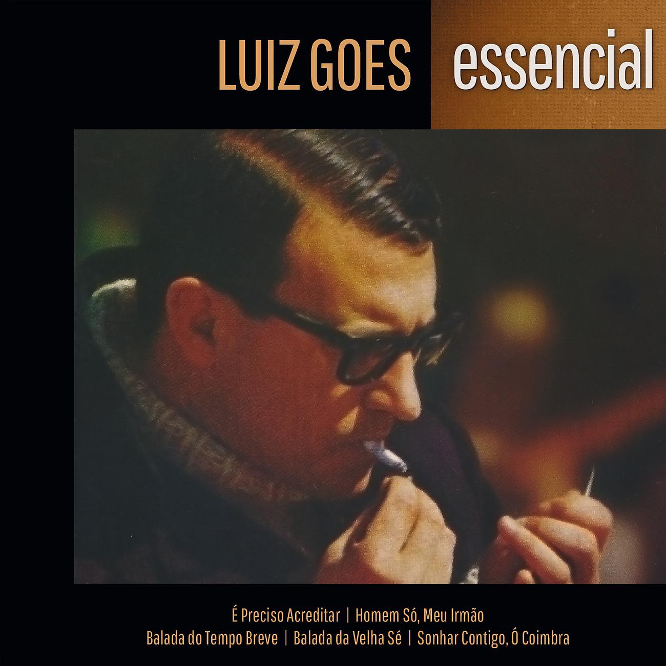 Постер альбома Luiz Goes - Essencial