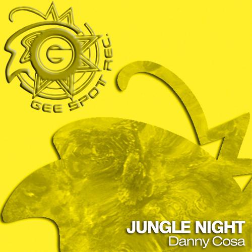 Постер альбома Jungle Night