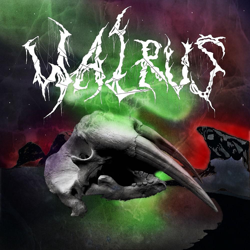 Постер альбома Walrus