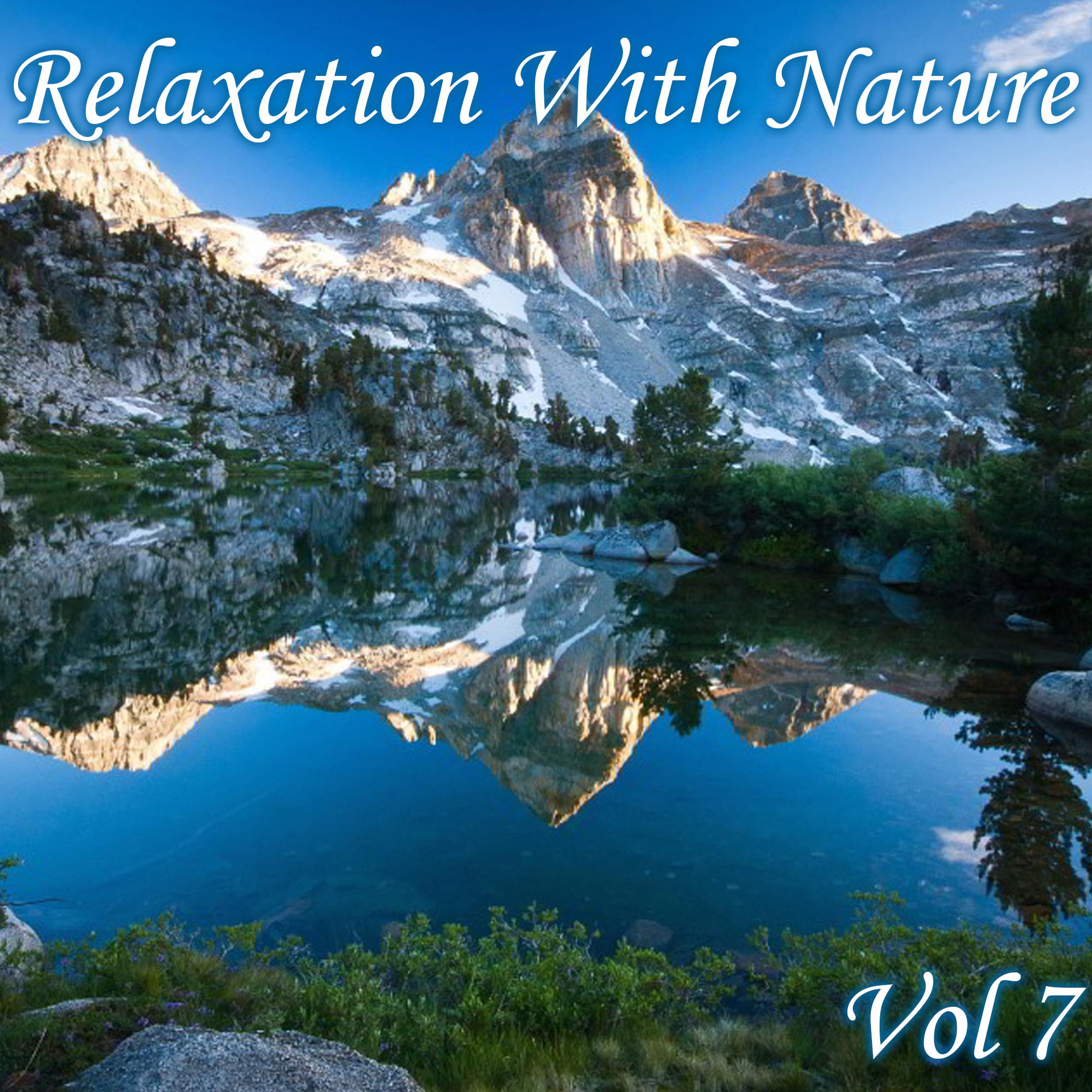 Постер альбома Relaxation With Nature, Vol. 7