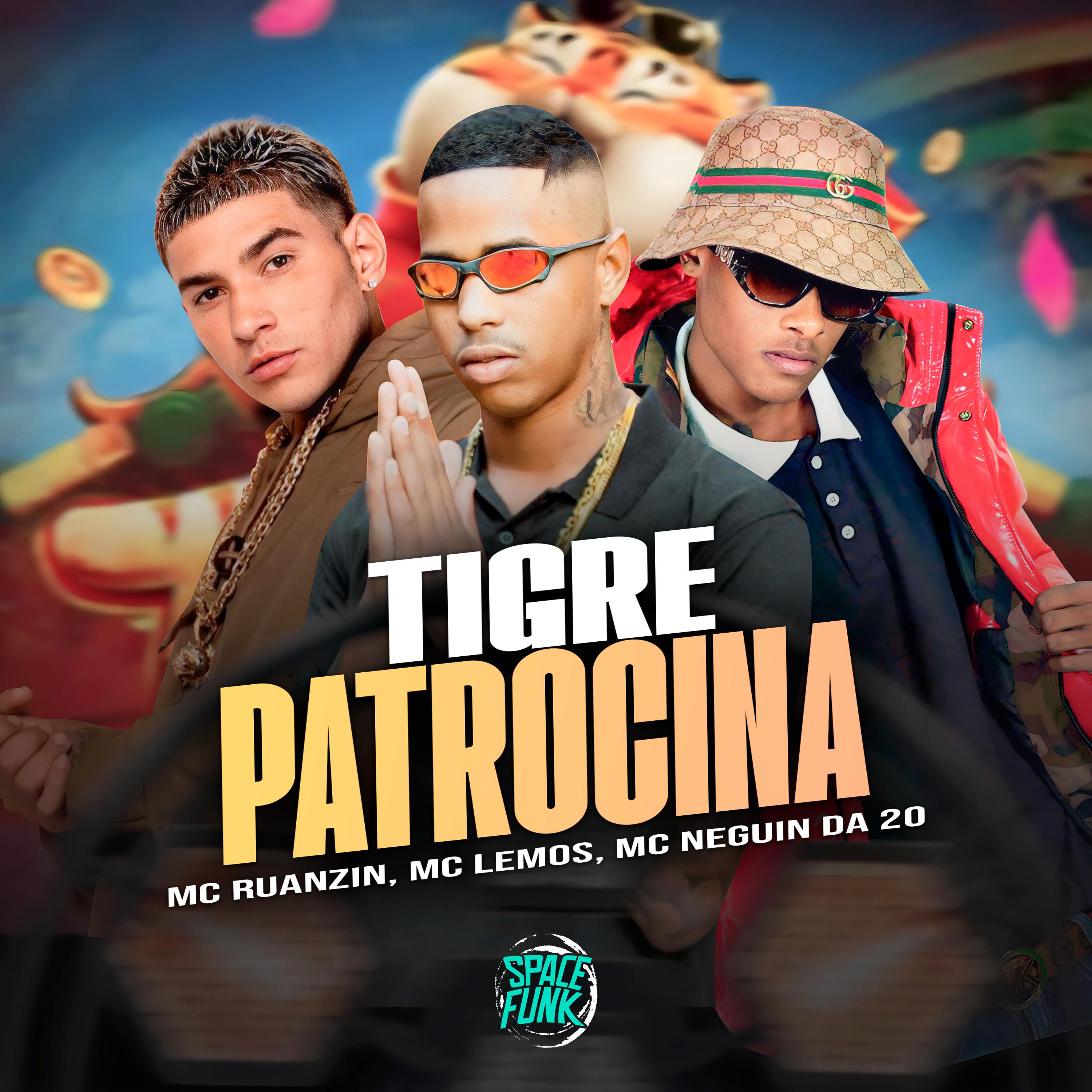 Постер альбома Tigre Patrocina