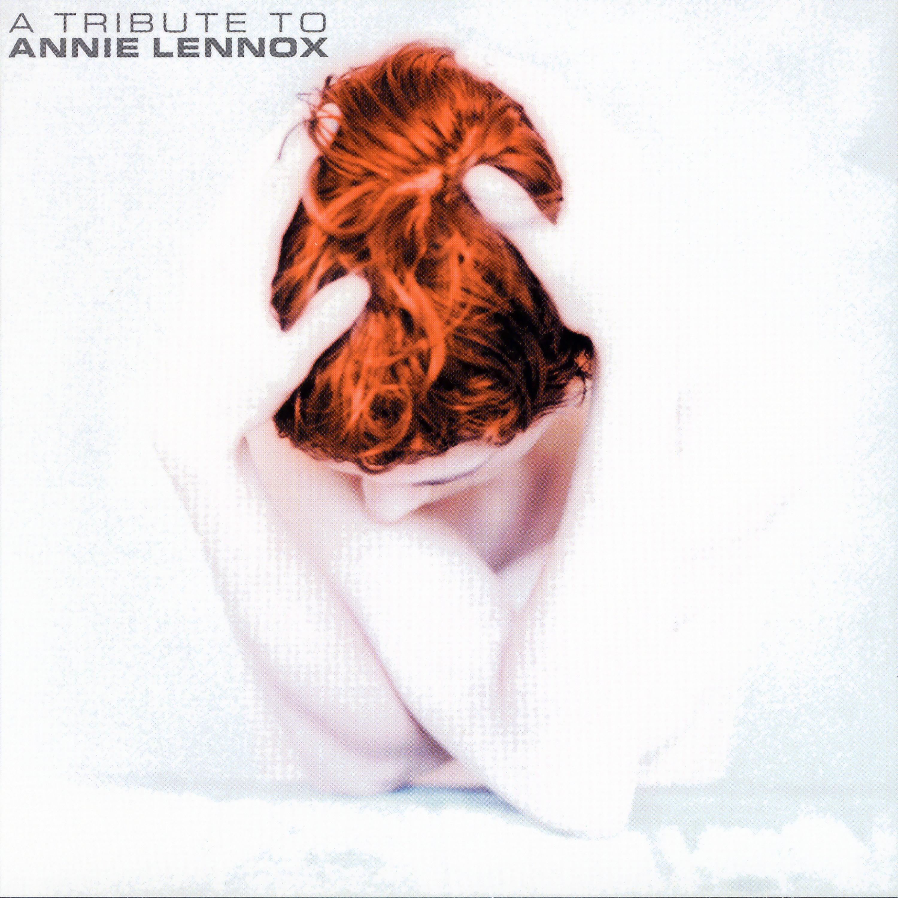Постер альбома A Tribute To Annie Lennox
