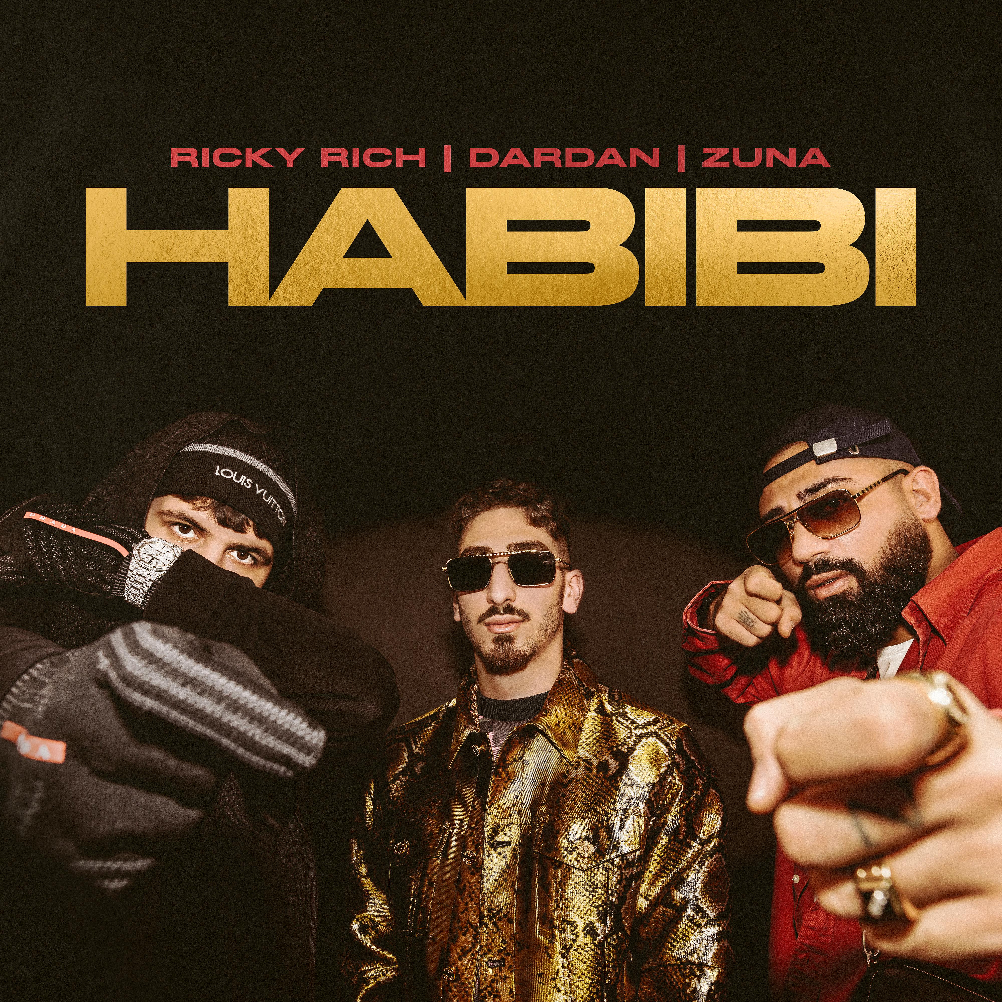 Постер альбома Habibi (German Remix)