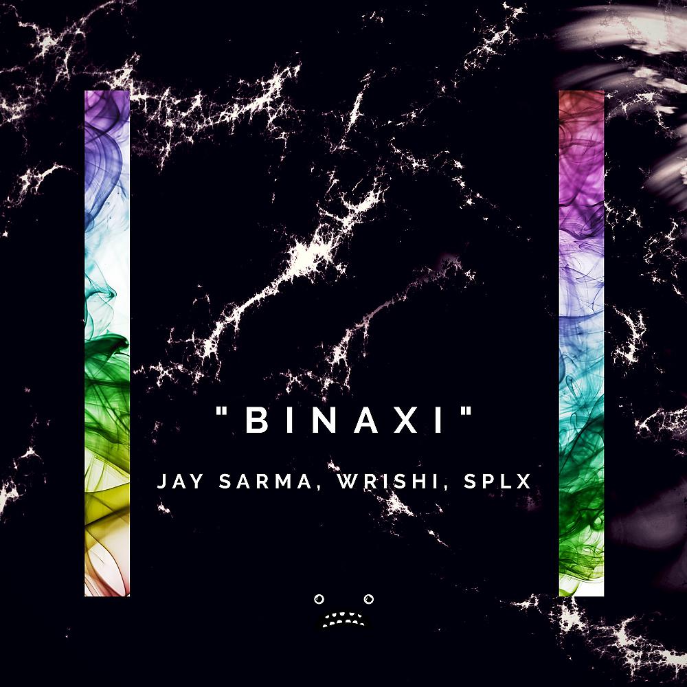 Постер альбома Binaxi