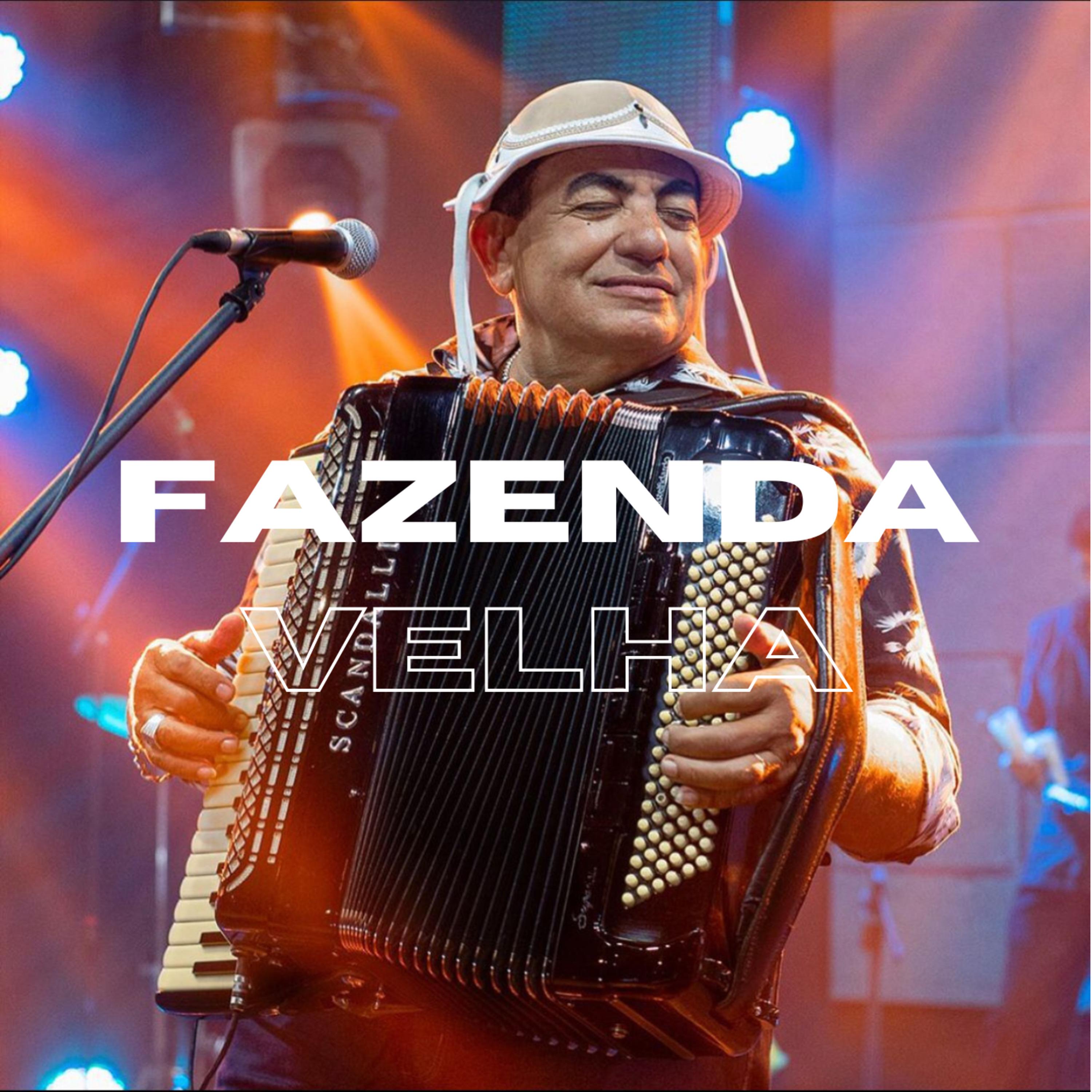 Постер альбома Fazenda Velha