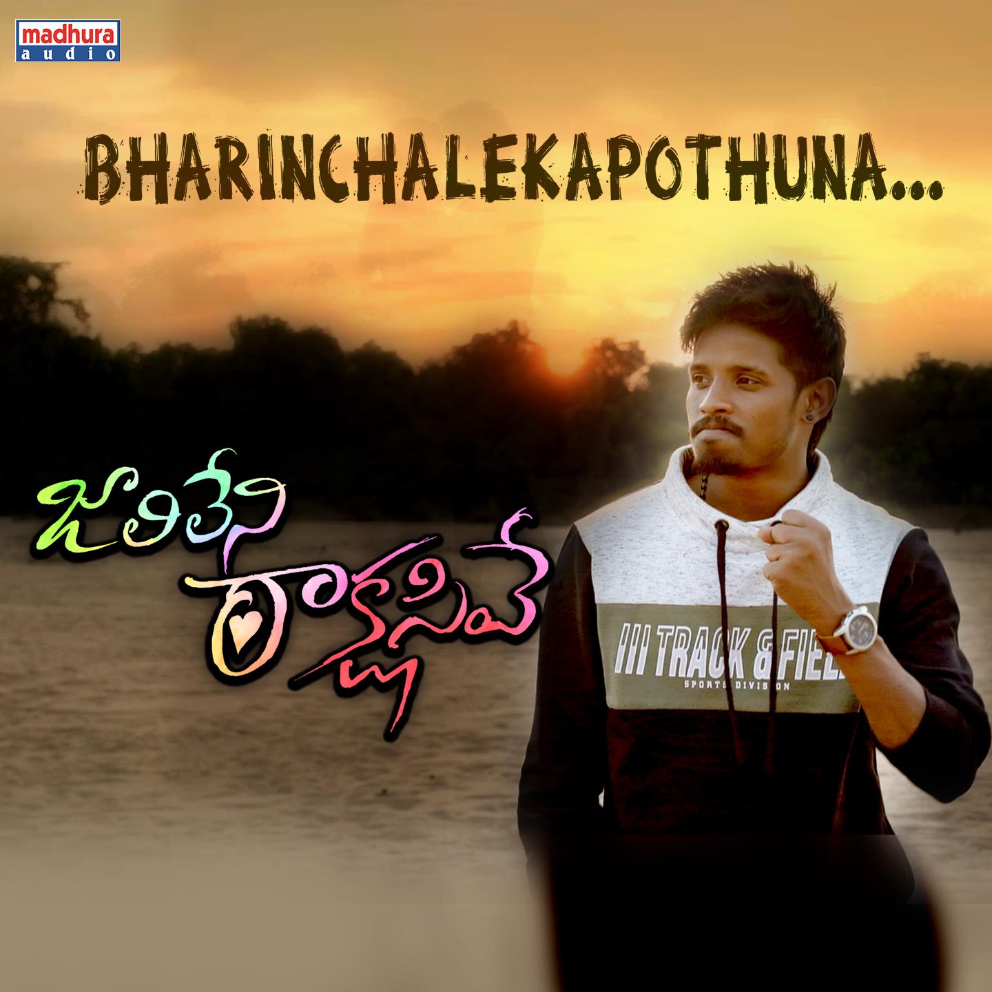 Постер альбома Bharinchalekapothuna