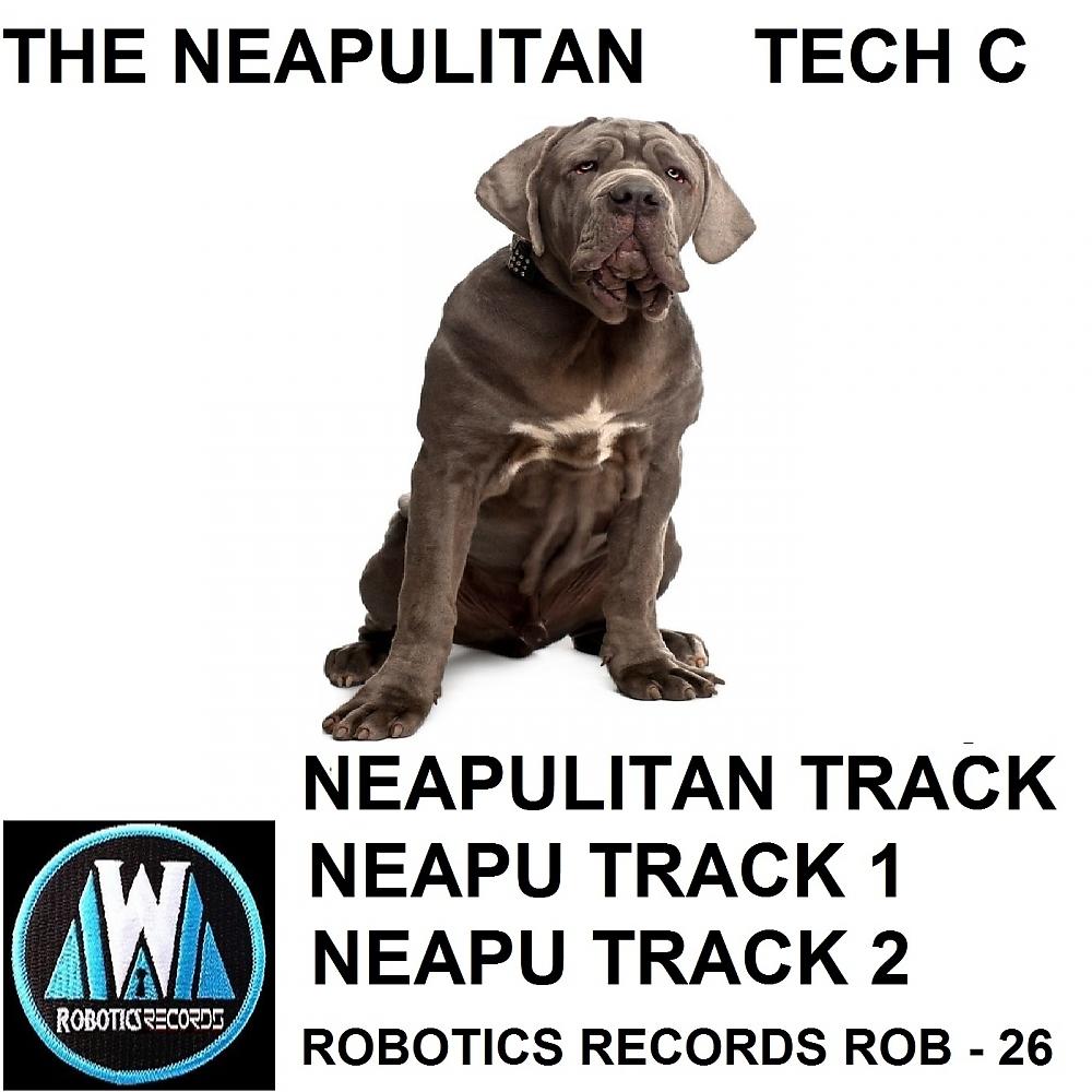 Постер альбома The Neapulitan