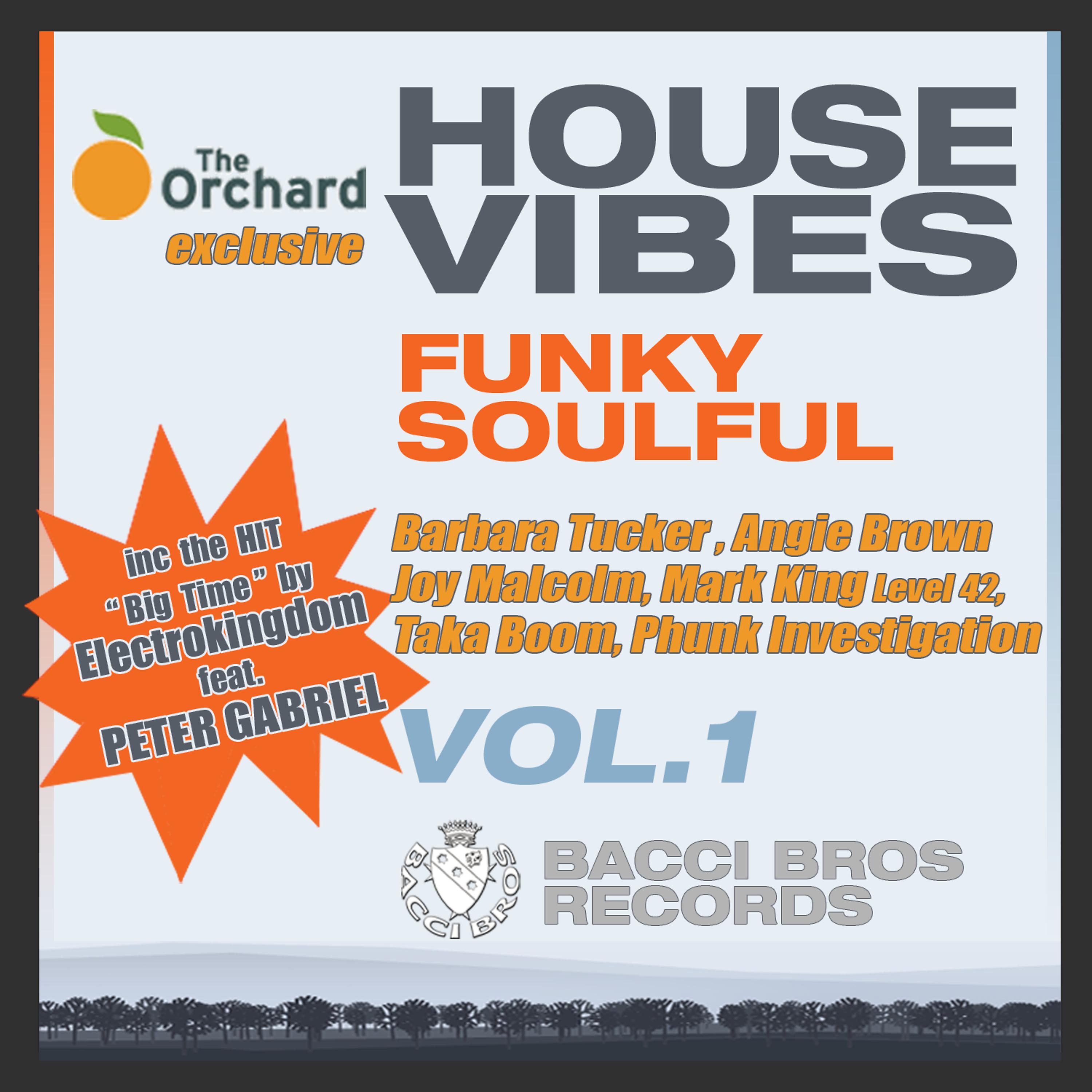 Постер альбома House Vibes Funky Soulful, Vol. 1