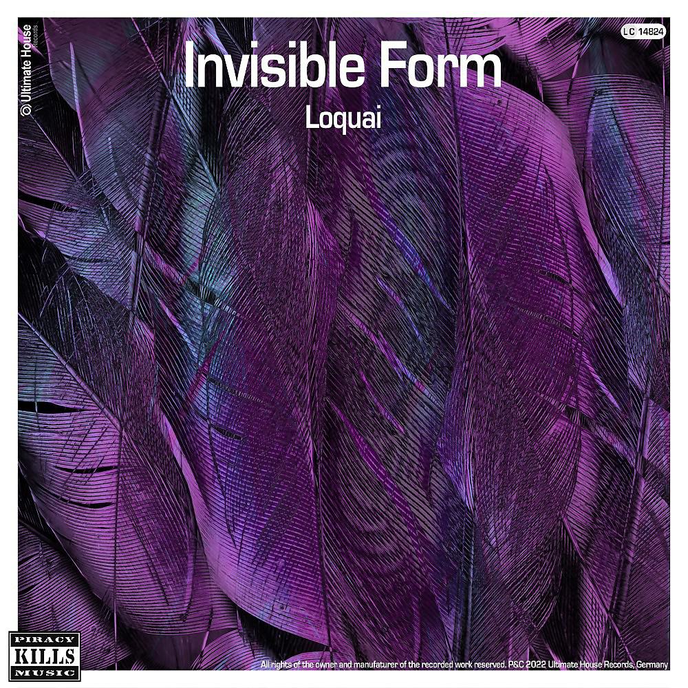 Постер альбома Invisible Form