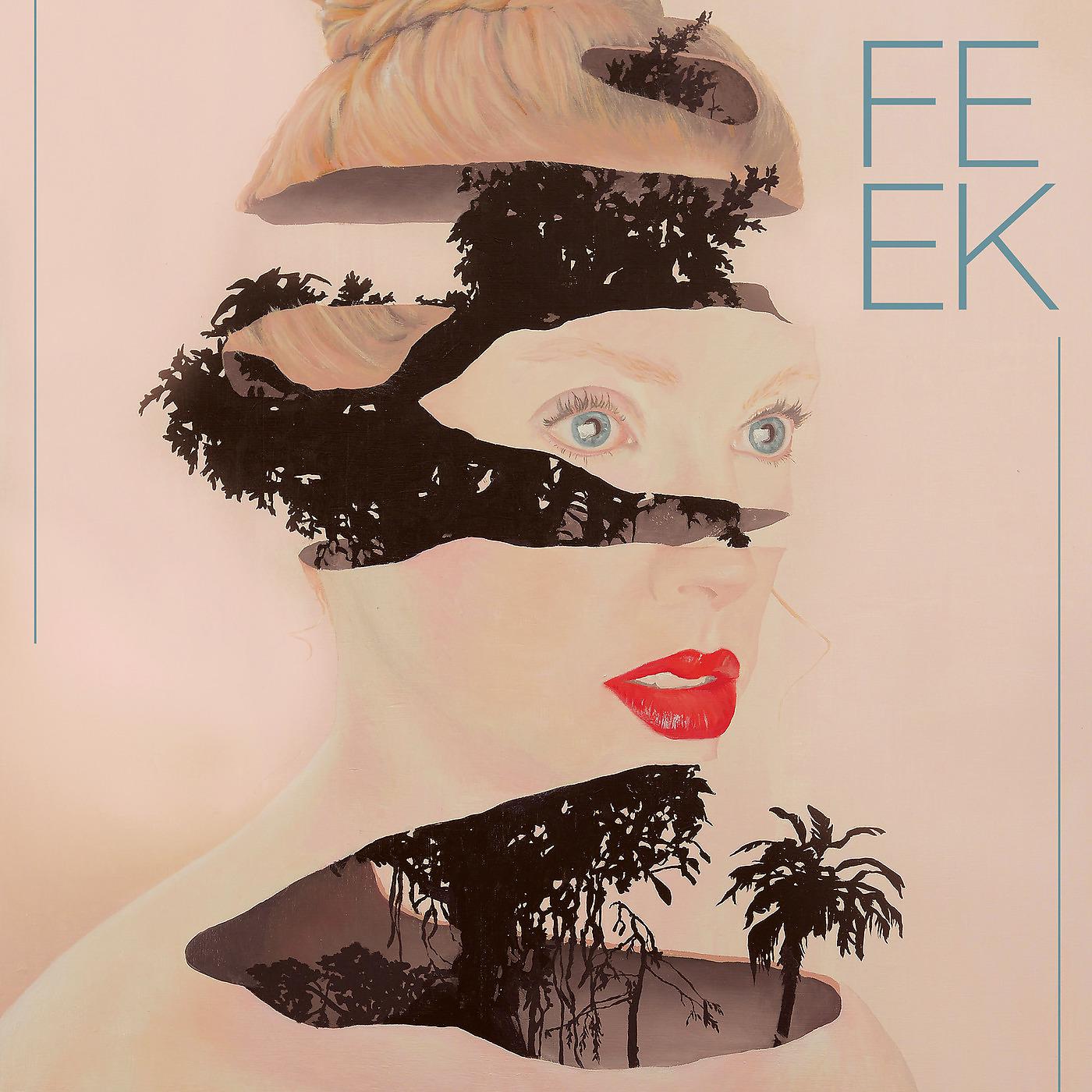 Постер альбома Feek