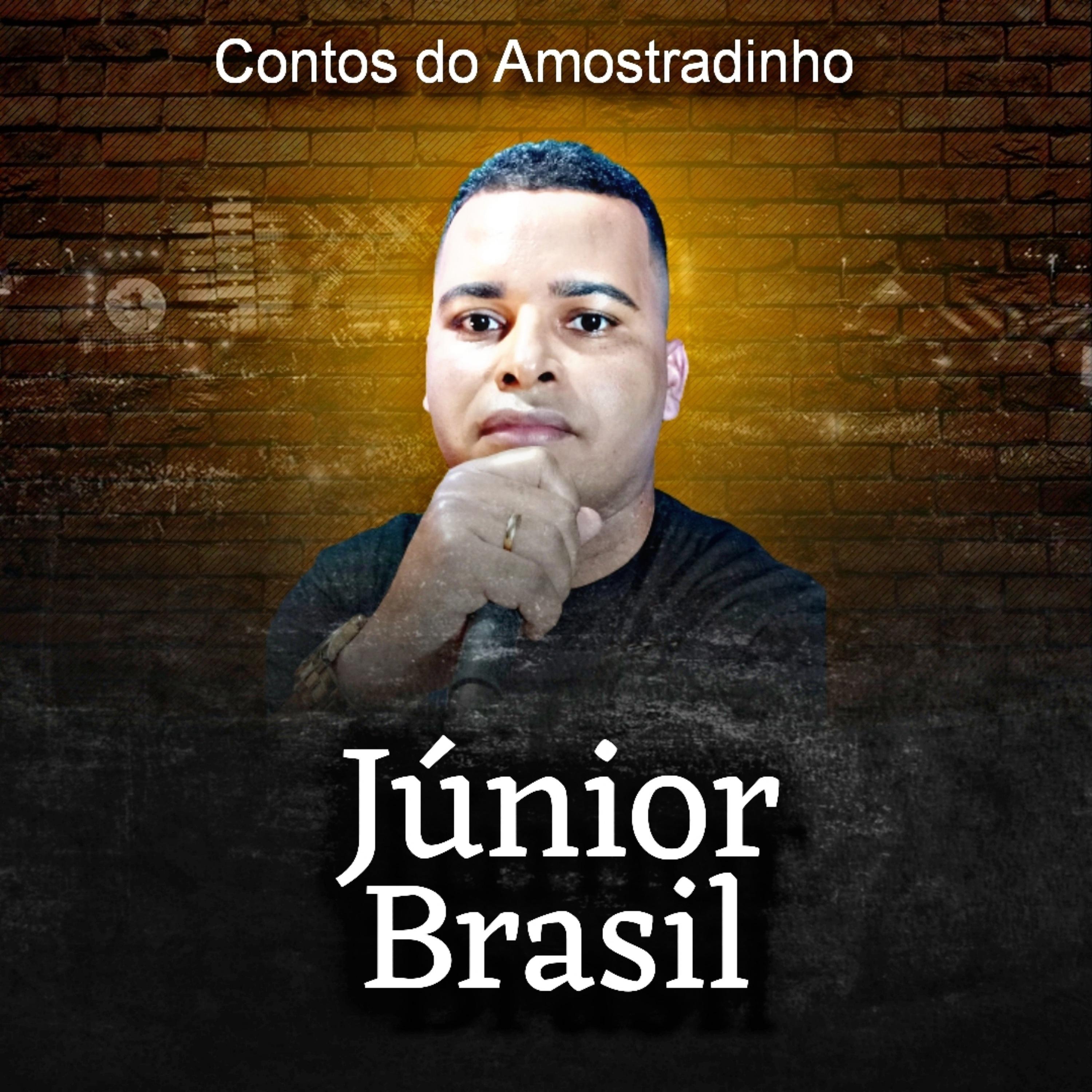 Постер альбома Contos do Amostradinho