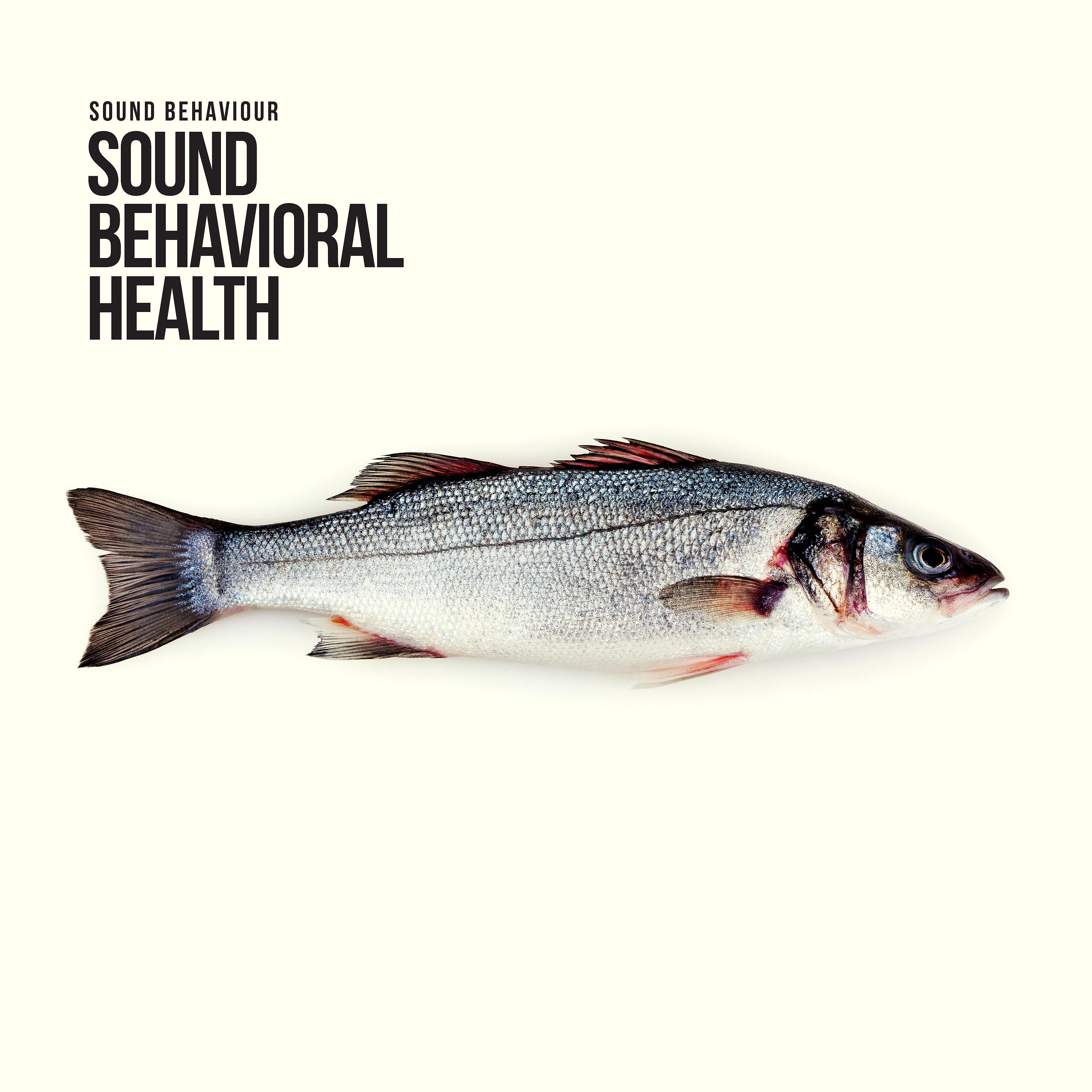 Постер альбома Sound Behavioral Health