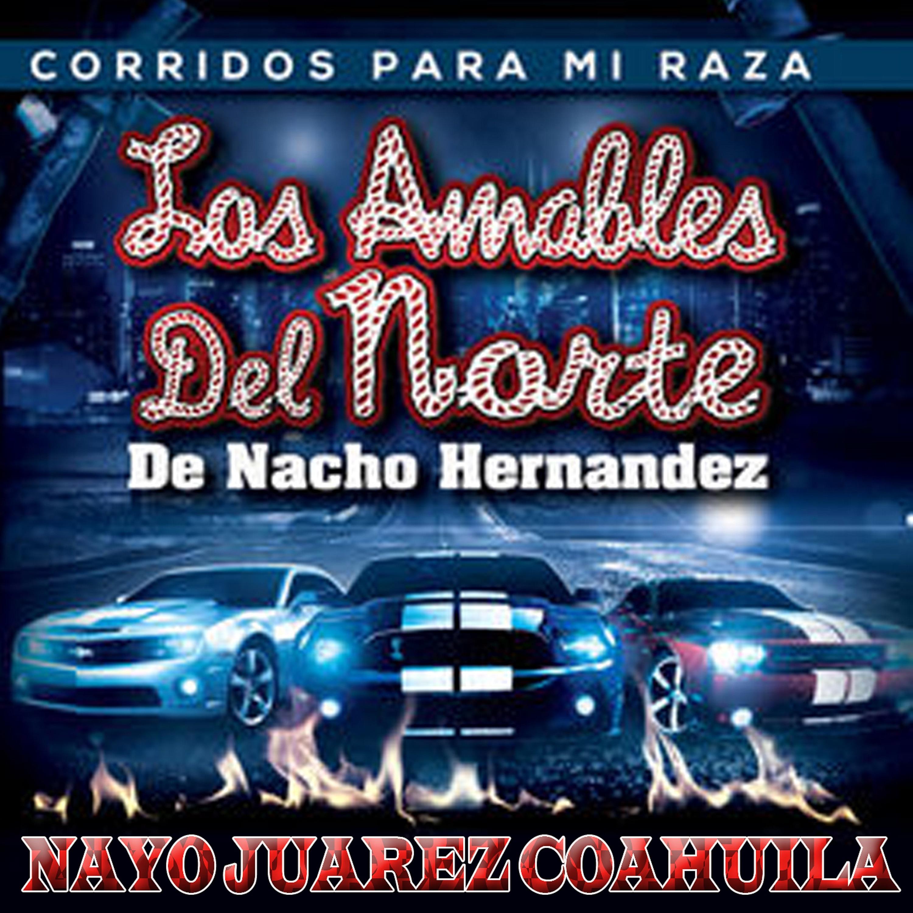 Постер альбома Nayo Juarez Coahuila
