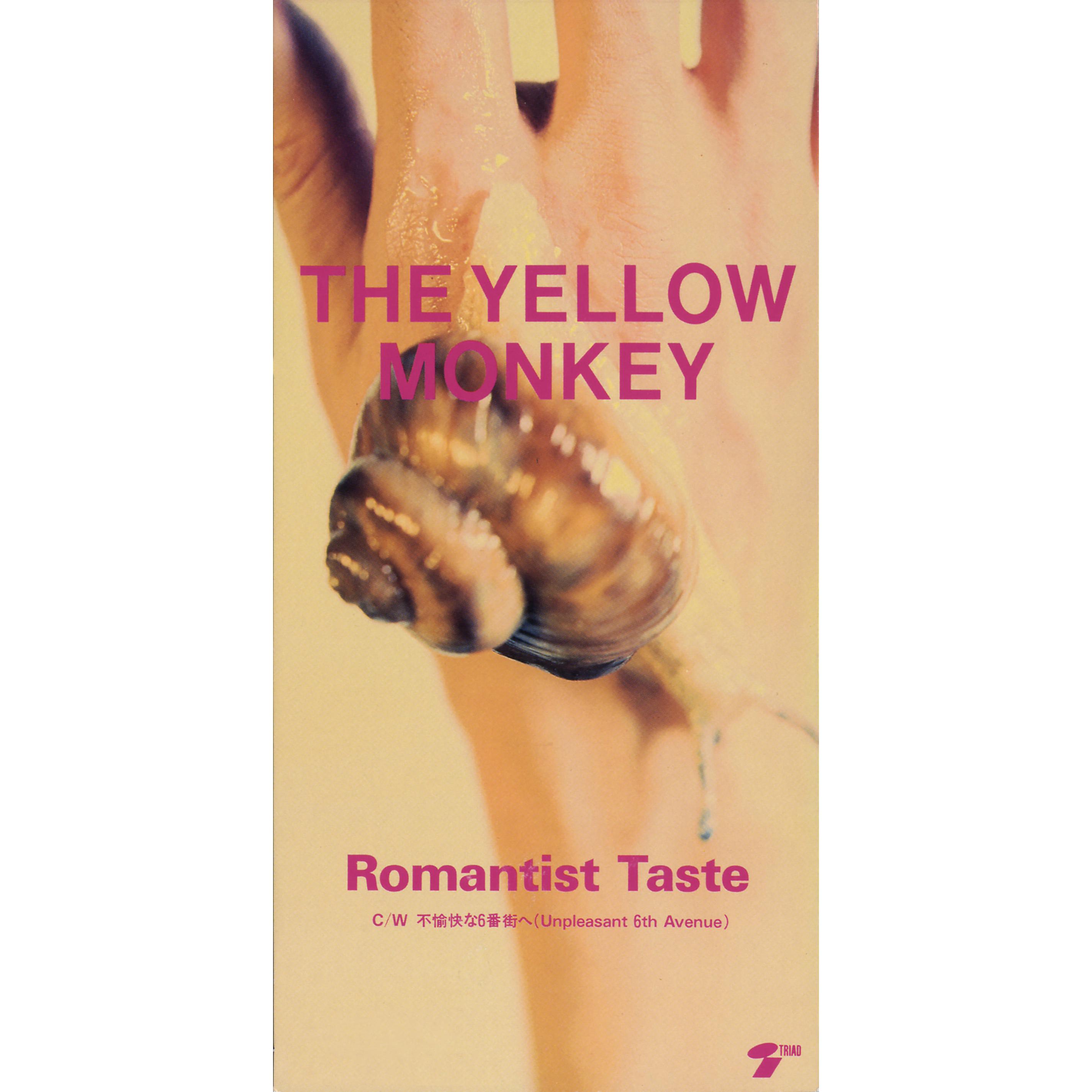 Постер альбома Romantist Taste