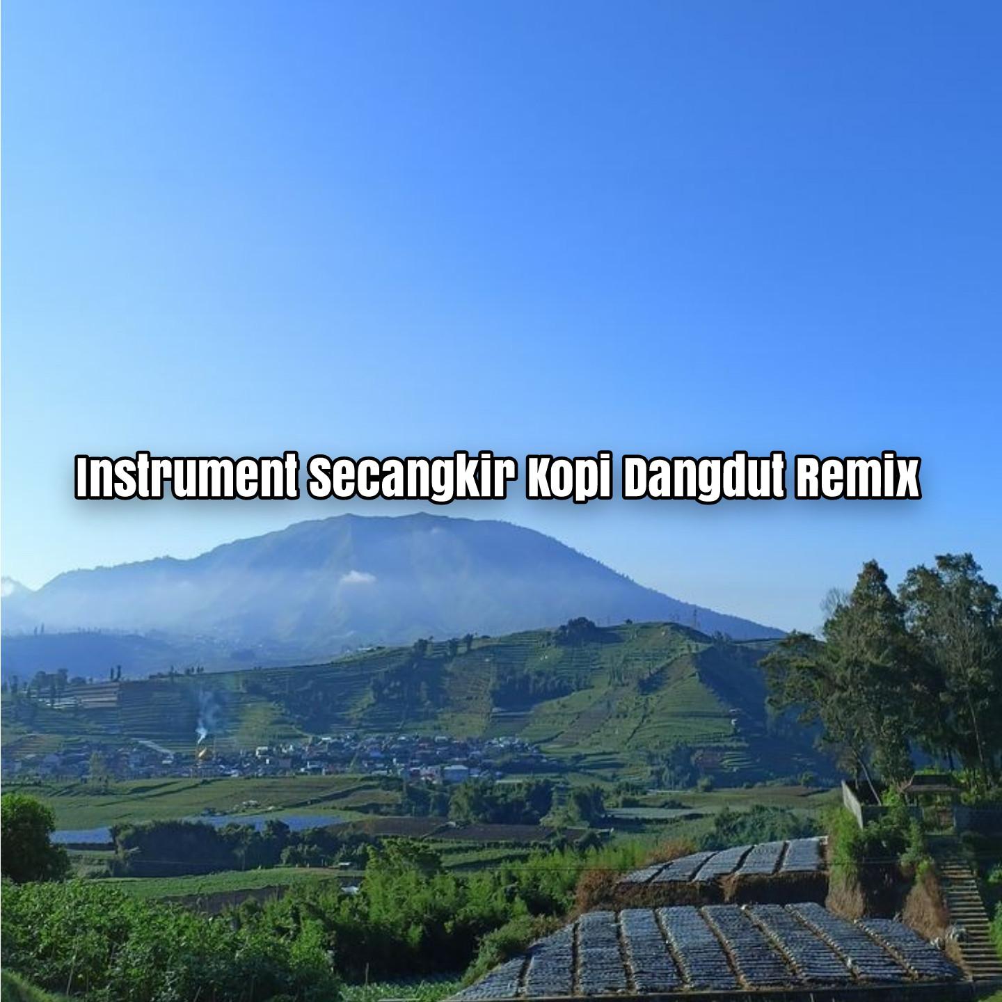 Постер альбома Instrument Secangkir Kopi Dangdut